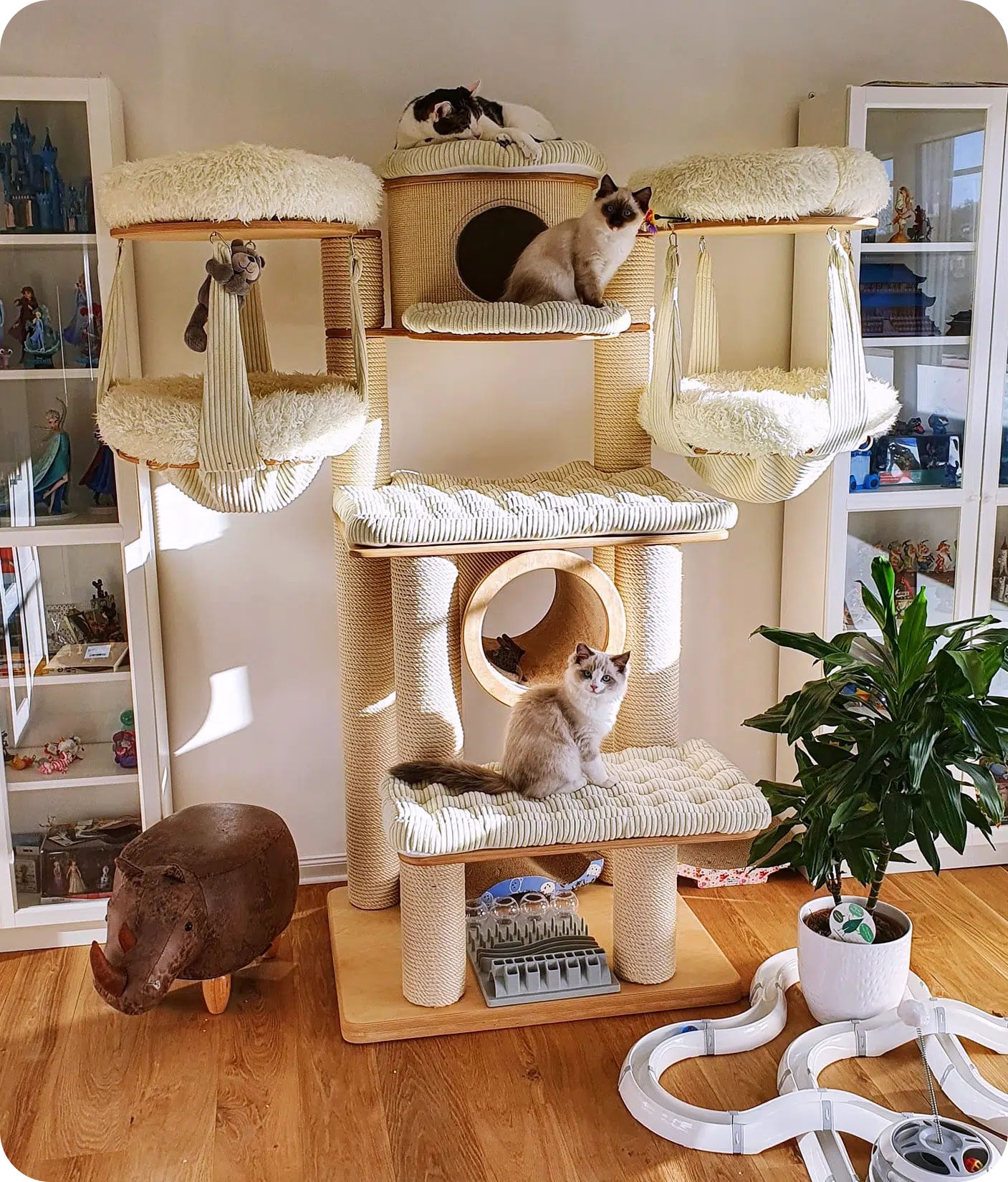 Four cats lounge on a multi-level beige cat tree near glass display cabinets, a plant, and a toy racetrack on a wooden floor. Sunlight streams into the cozy, well-decorated room.