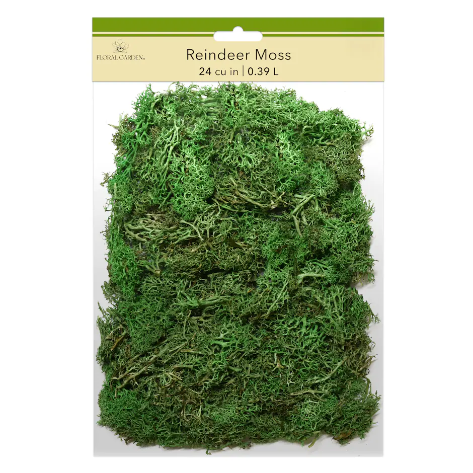 A package of green reindeer moss labeled "Reindeer Moss 24 cu in (0.39 L)" with the brand "Floral Garden" on the top of the packaging.