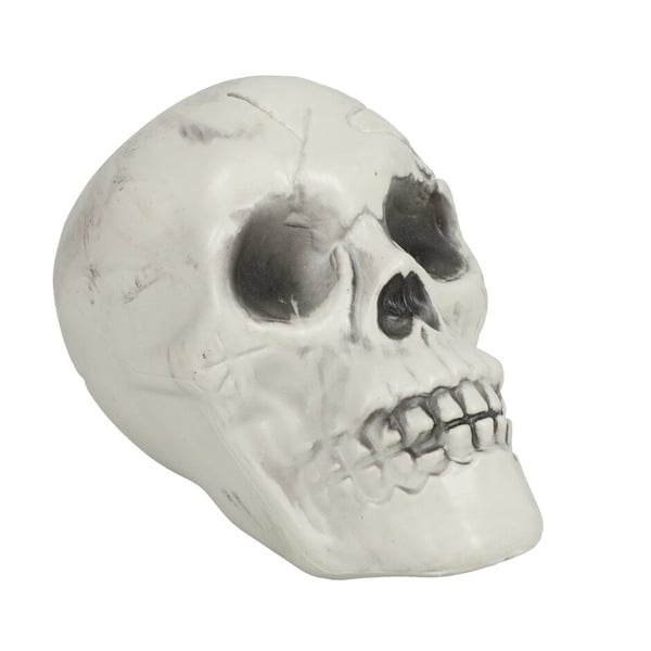 A white skull model lies on its side, showing blackened eye sockets and nose cavity, with detailed teeth and subtle surface cracks, against a plain white background.