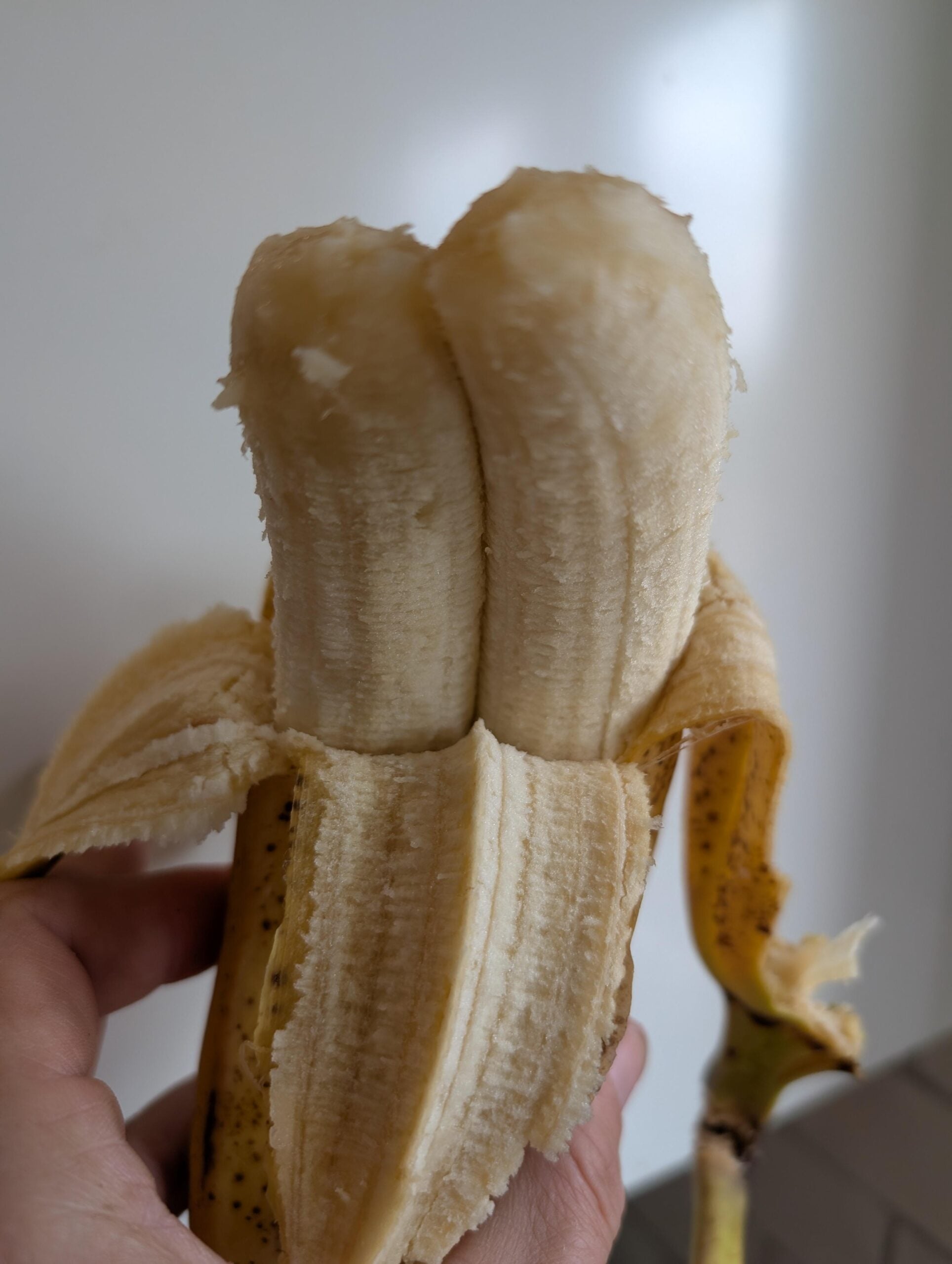 A hand holds a partially peeled banana with two conjoined sections inside one peel, revealing an unusual double banana.