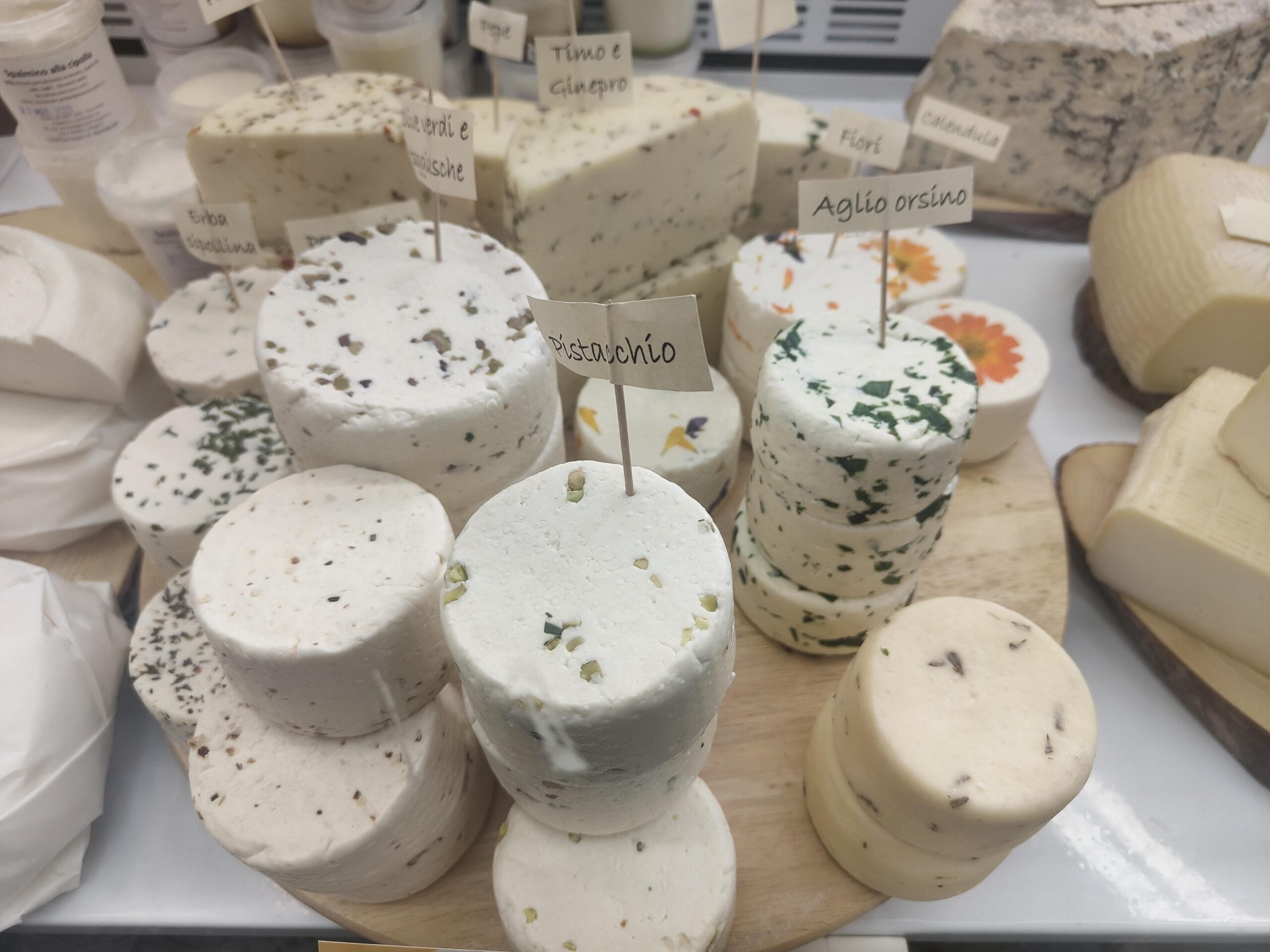 A variety of round fresh cheeses are displayed on a wooden board, some topped with herbs or spices, and labeled with handwritten signs.