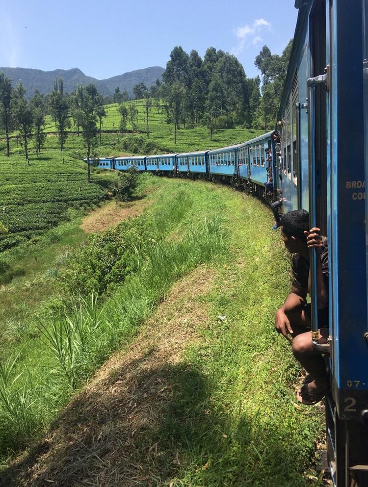A blue train winds through lush green hills under a clear sky. A person leans out of a door, looking ahead, as the train curves through the scenic landscape dotted with trees and grass.