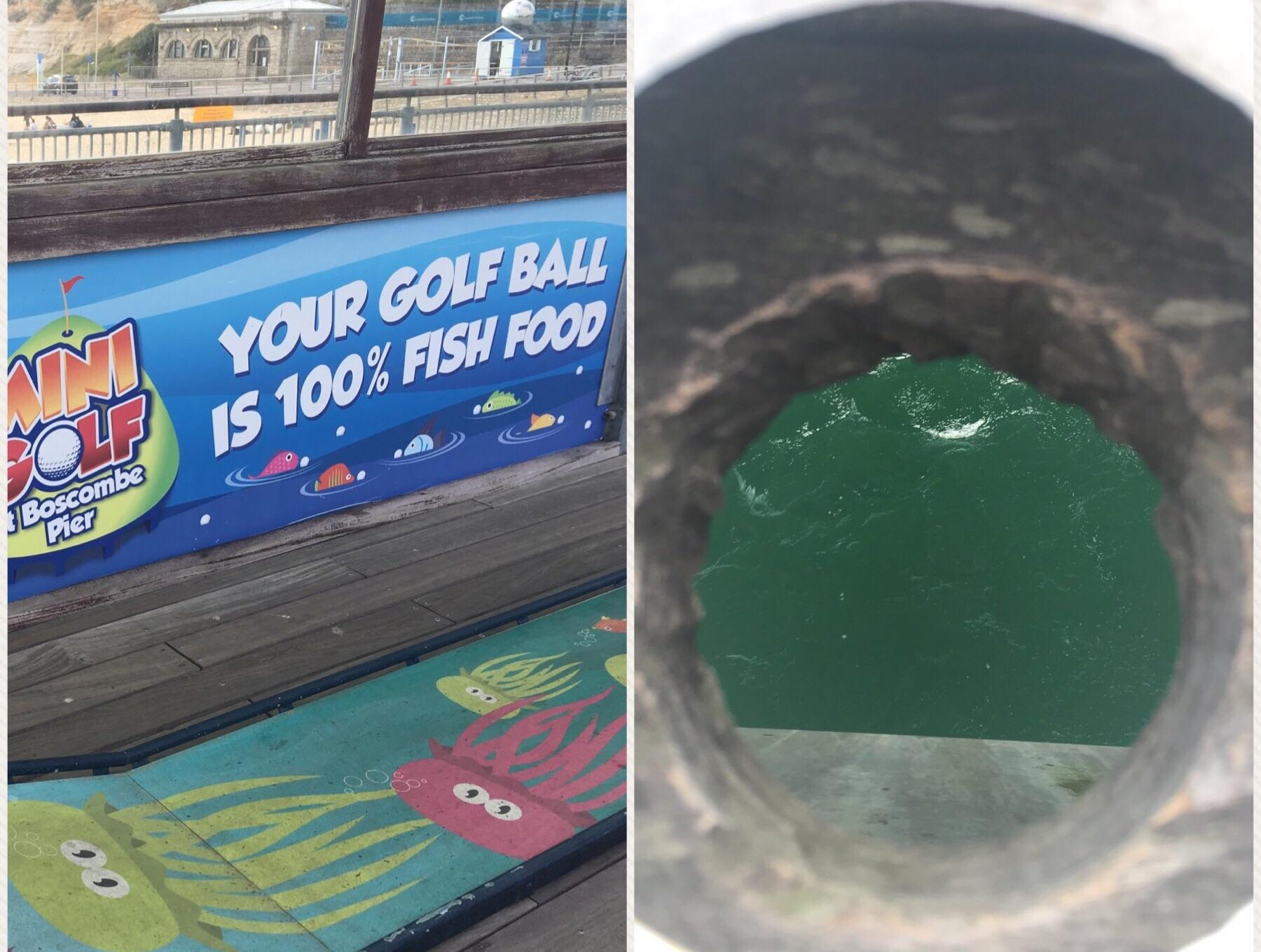 A mini golf course sign reads “Your golf ball is 100% fish food.” Next to it, an image shows a view of water through a hole in a wooden boardwalk or pier.