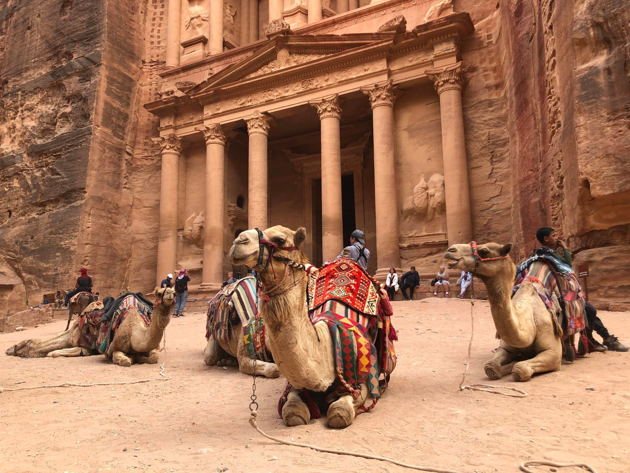 Three camels with colorful saddles sit in front of Petra’s ancient stone facade in Jordan, with people standing and walking in the background among the tall columns.
