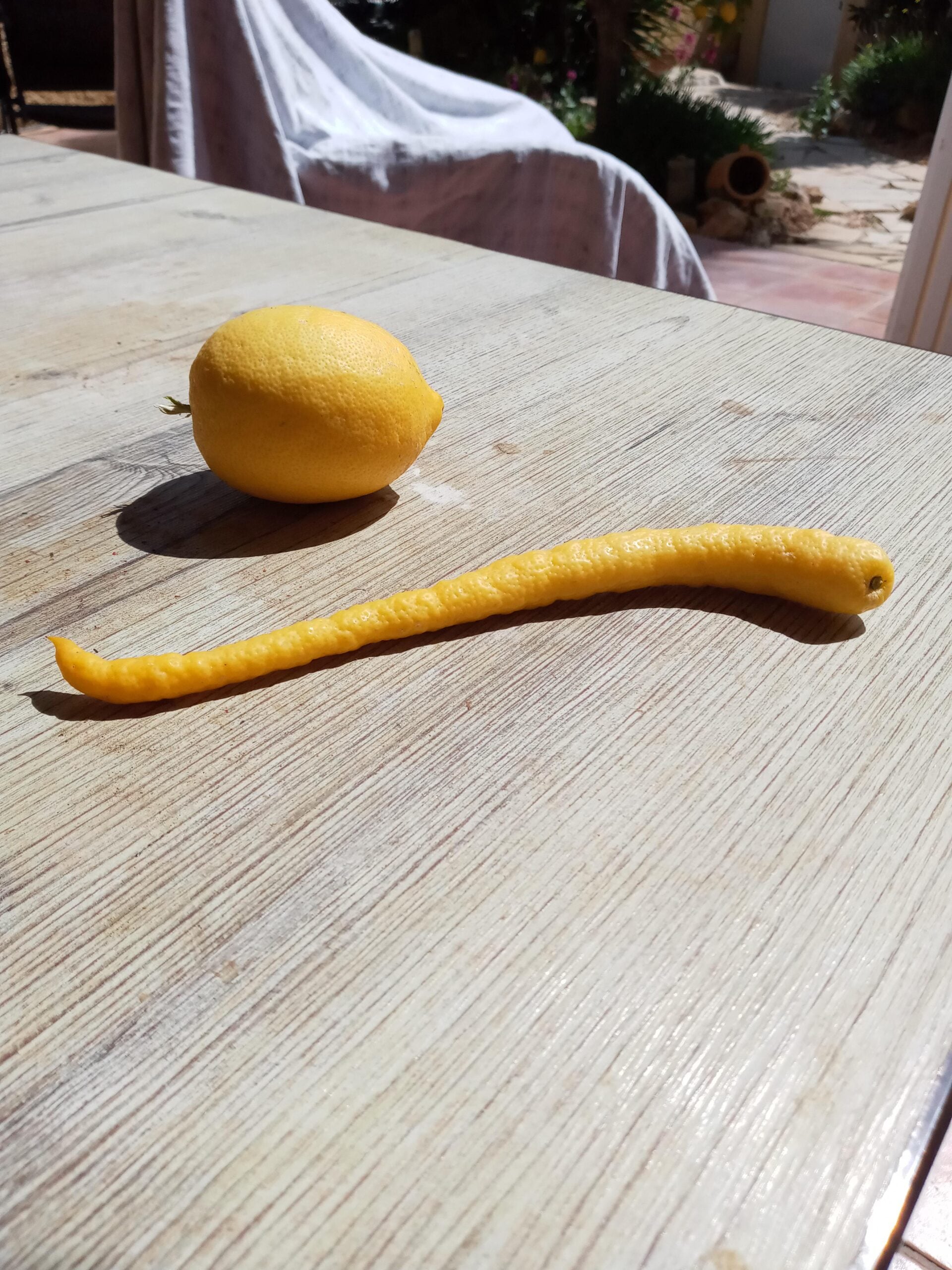 A whole lemon and a long, curly strip of lemon peel rest on a sunlit wooden table.