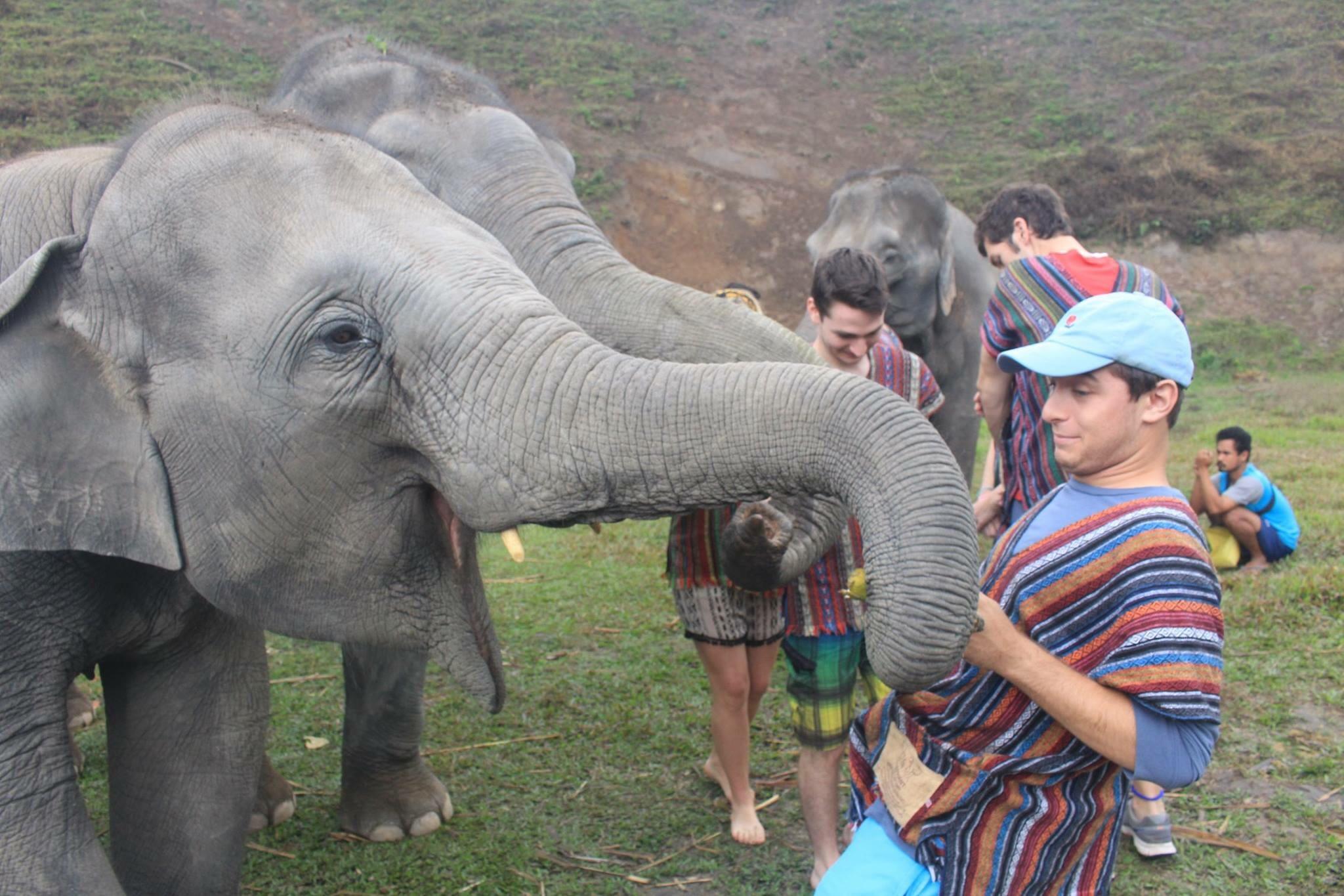 A young elephant playfully wraps its trunk around a smiling person’s waist while others, wearing colorful striped shirts, stand nearby on grassy terrain.