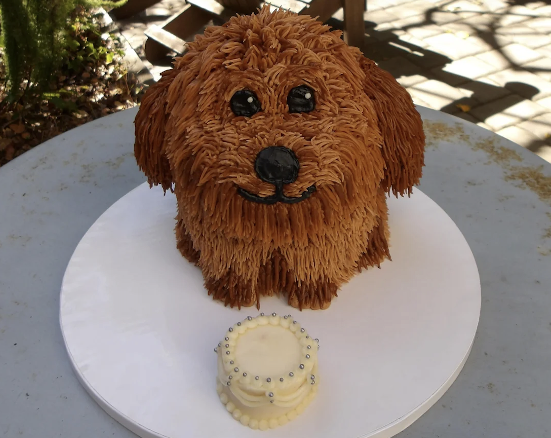 A dog-shaped cake with fur-like icing sits on a round white board, with a small round cake decorated with silver balls in front of it, on an outdoor table.