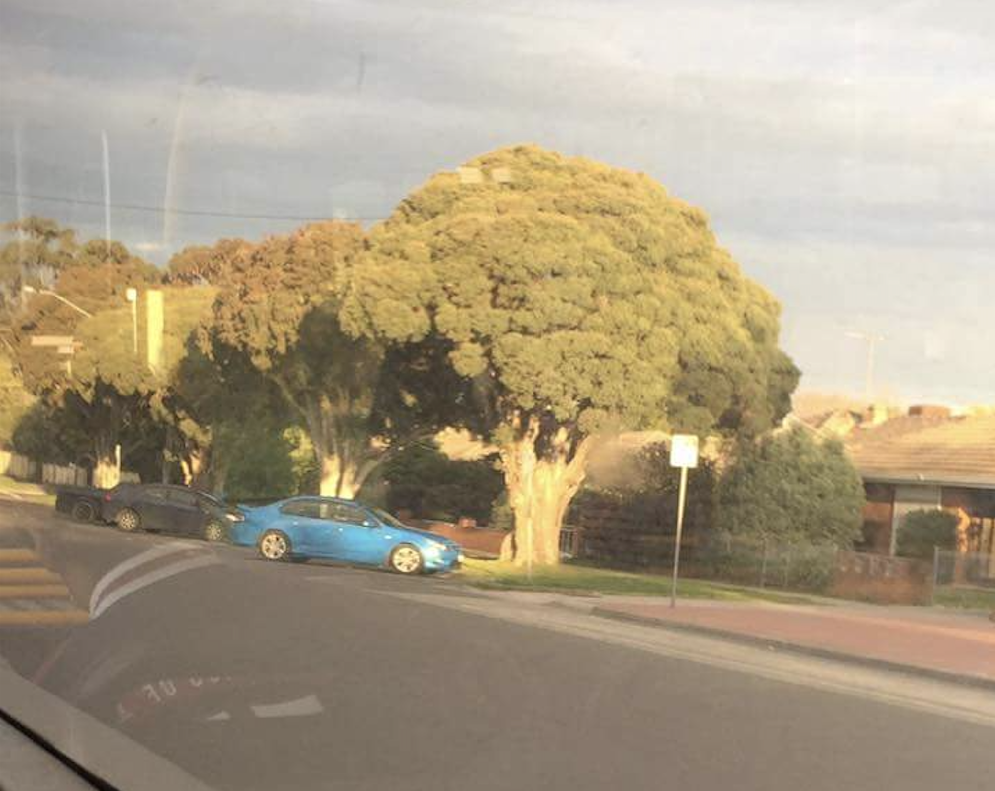 A bright blue car is parked on a grassy area beside a sidewalk near large, leafy trees in a suburban neighborhood during daylight.