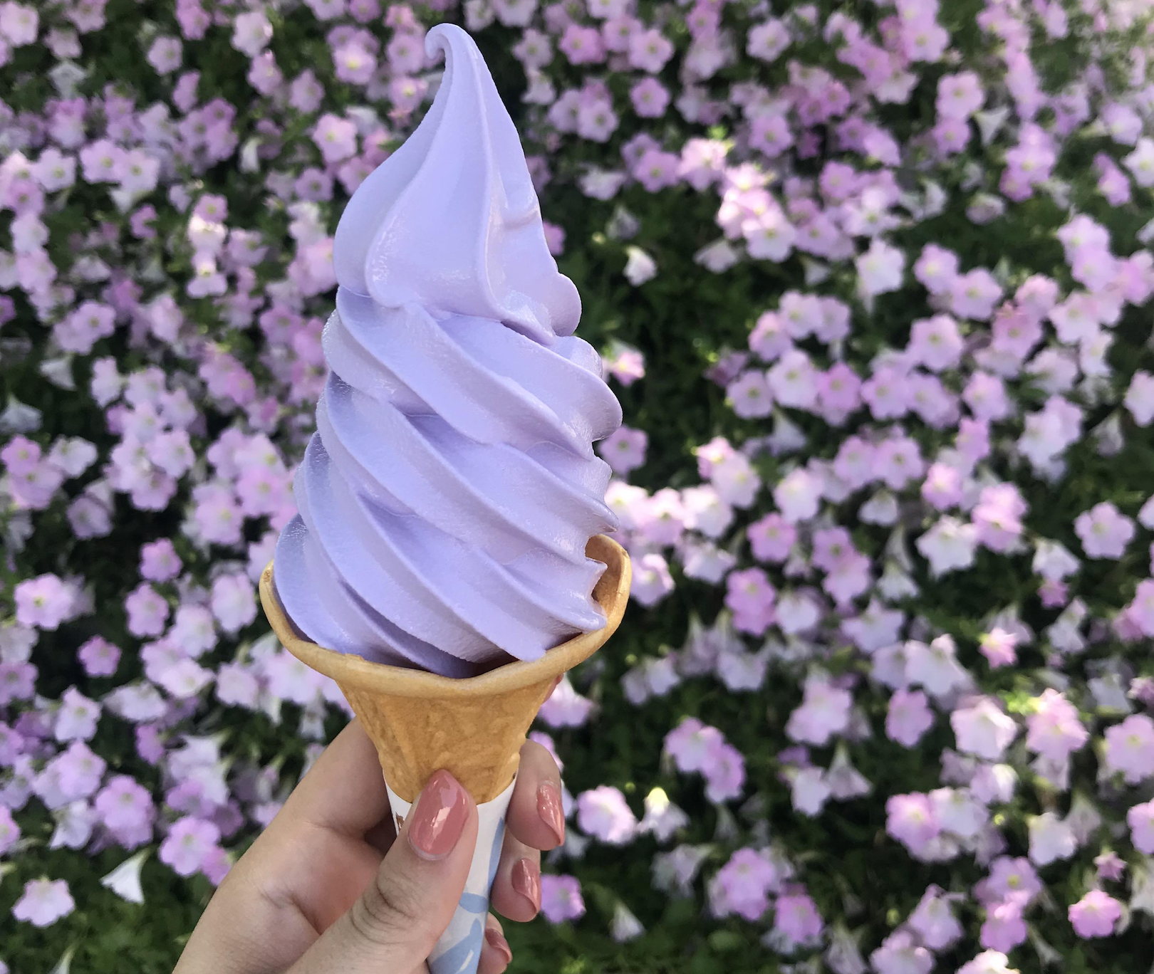 A hand holding a purple soft-serve ice cream cone in front of a background filled with blooming purple flowers.