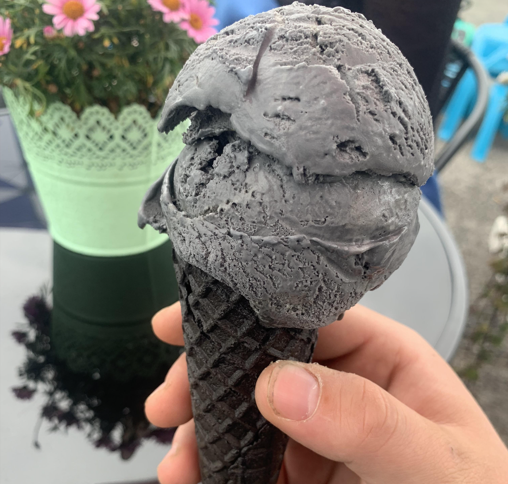 A hand holds a black ice cream cone with two scoops of dark gray ice cream. There is a green potted plant with pink flowers on a black table in the background.
