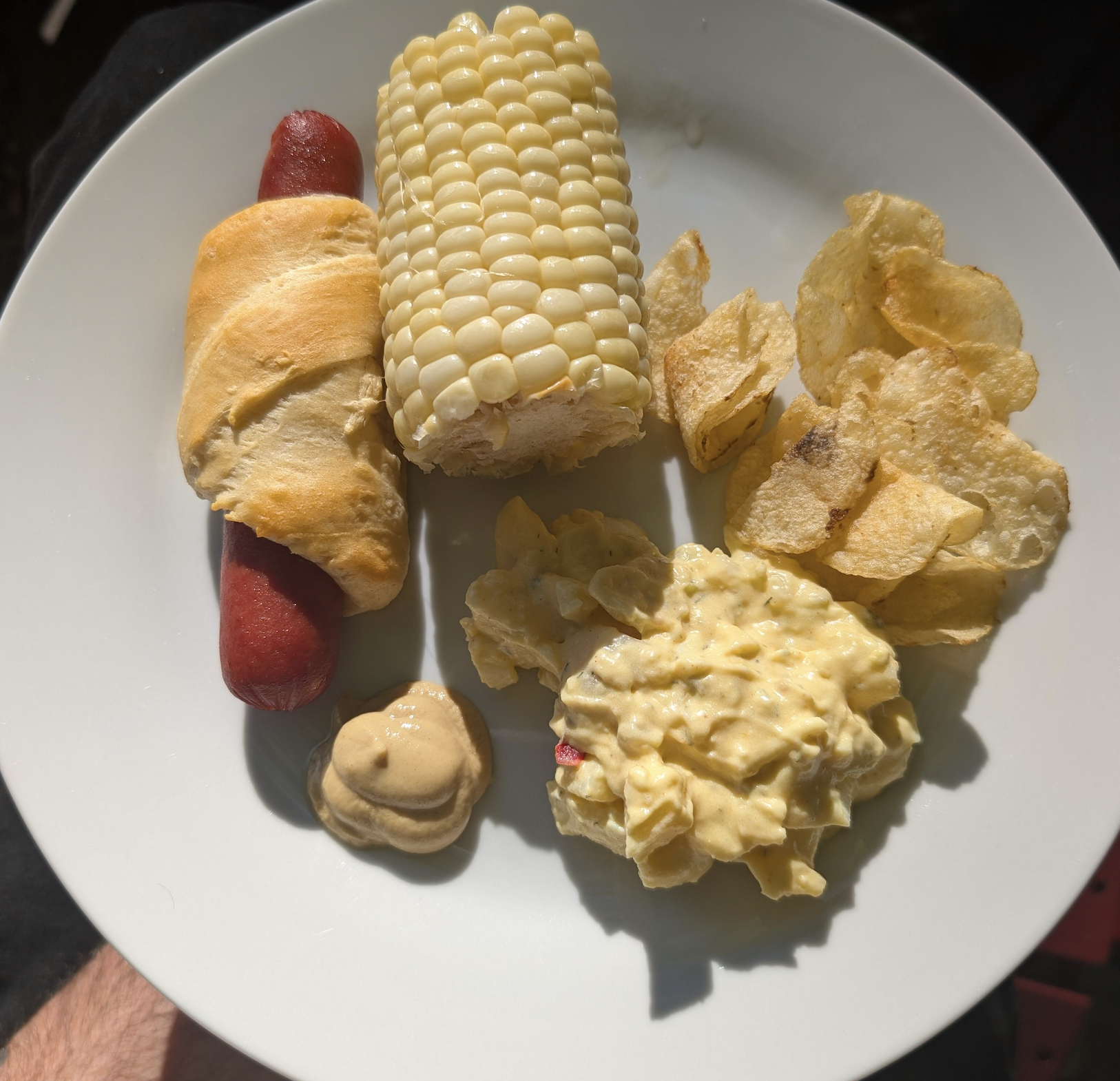 A plate with a crescent roll hot dog, corn on the cob, potato chips, egg salad, and a dollop of mustard, all in natural sunlight.