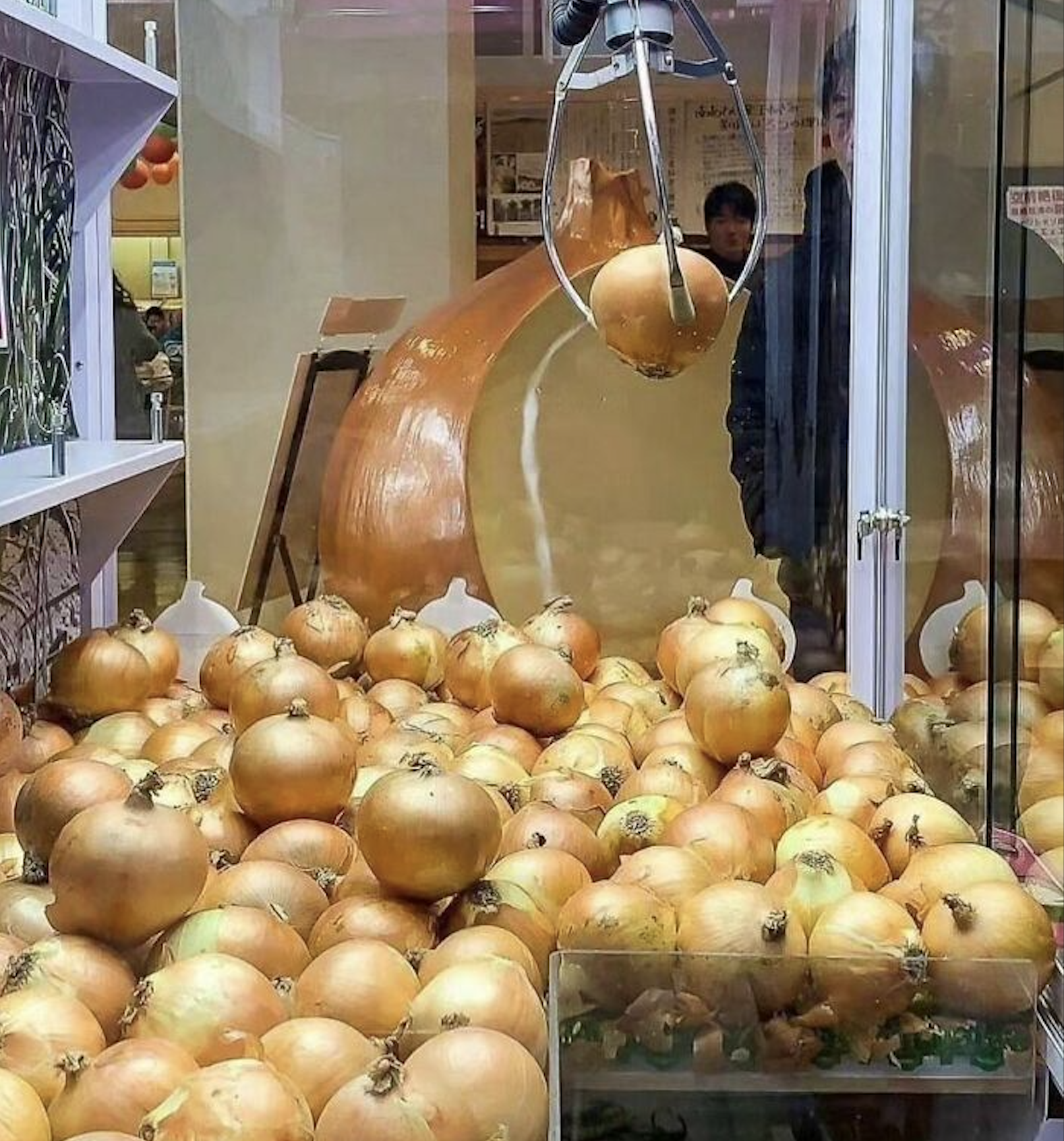 A claw machine is filled with real onions instead of toys. The claw is holding an onion, and people are watching through the glass.