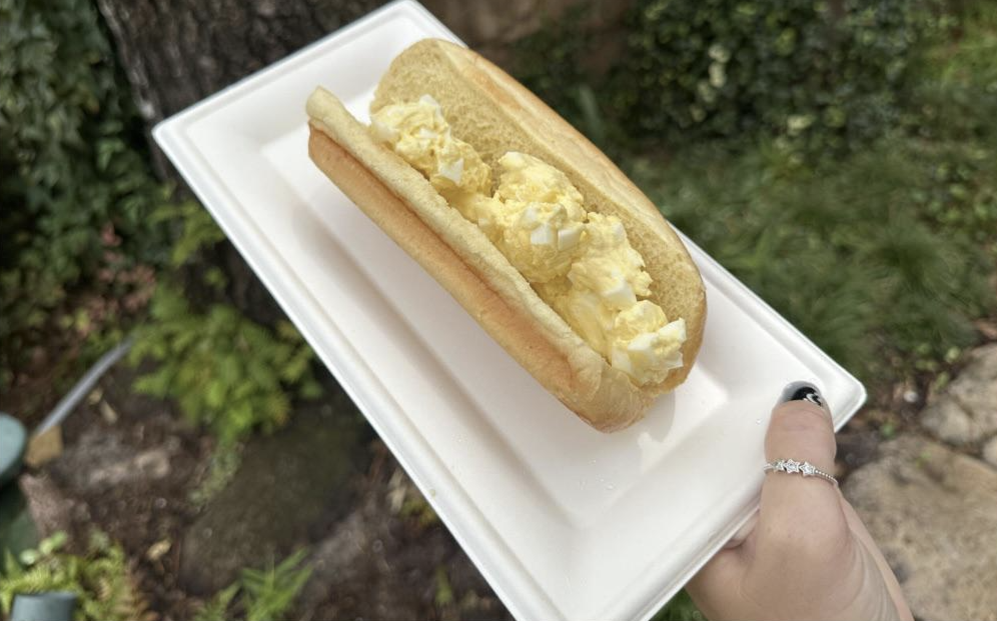 A hand holds a rectangular white plate with an egg salad sandwich in a hot dog bun, set against a blurry outdoor background with greenery.