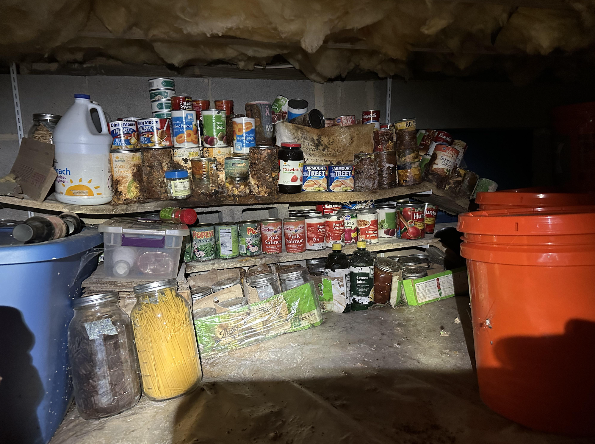 A dimly lit storage area with shelves holding canned food, jars, cleaning supplies, and large orange and blue buckets. Some insulation hangs from the ceiling, and the floor is unfinished.