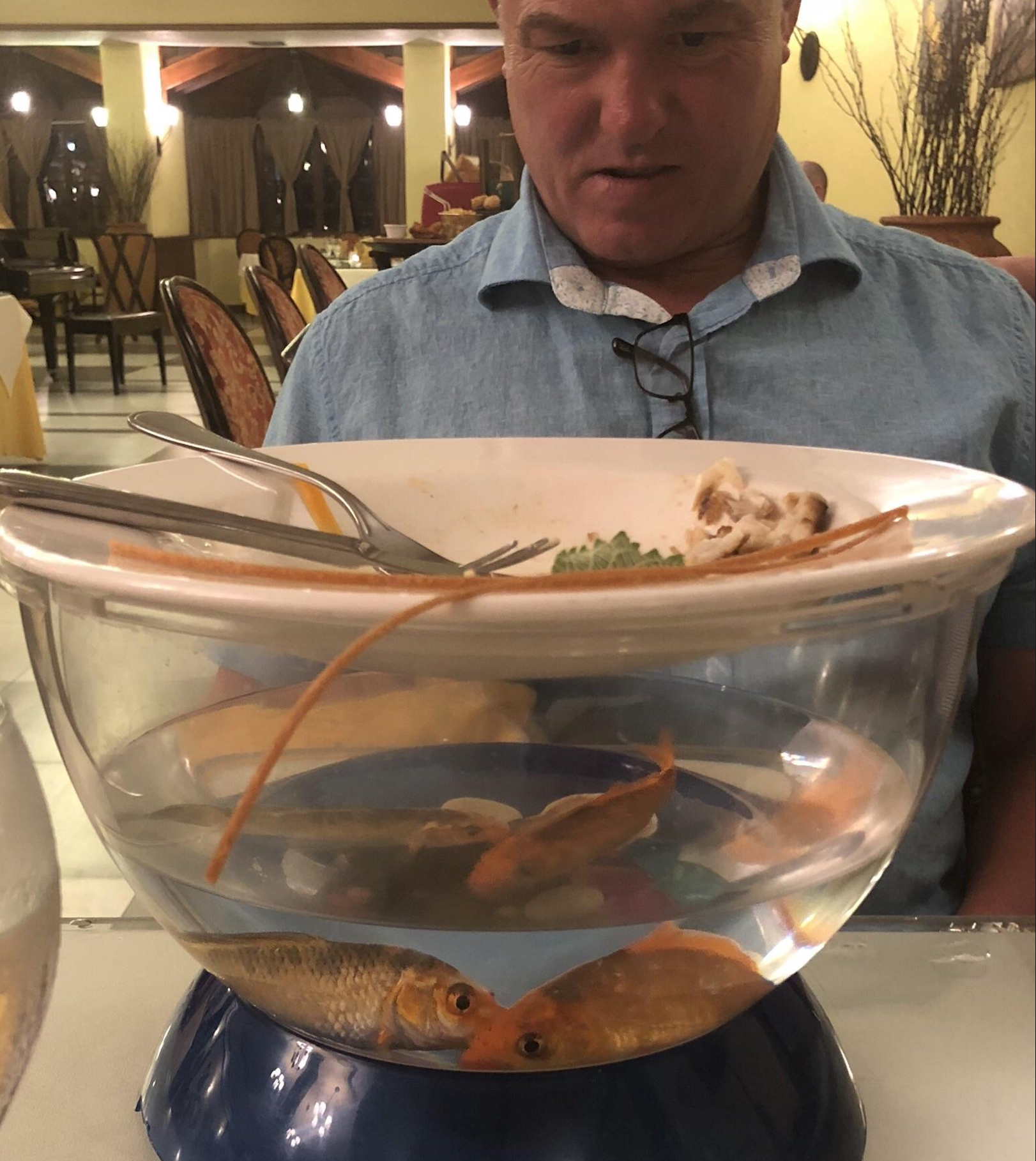 A man in a blue shirt sits at a table, looking at a fishbowl with two goldfish. On top of the fishbowl, there is a plate with leftover food and utensils.