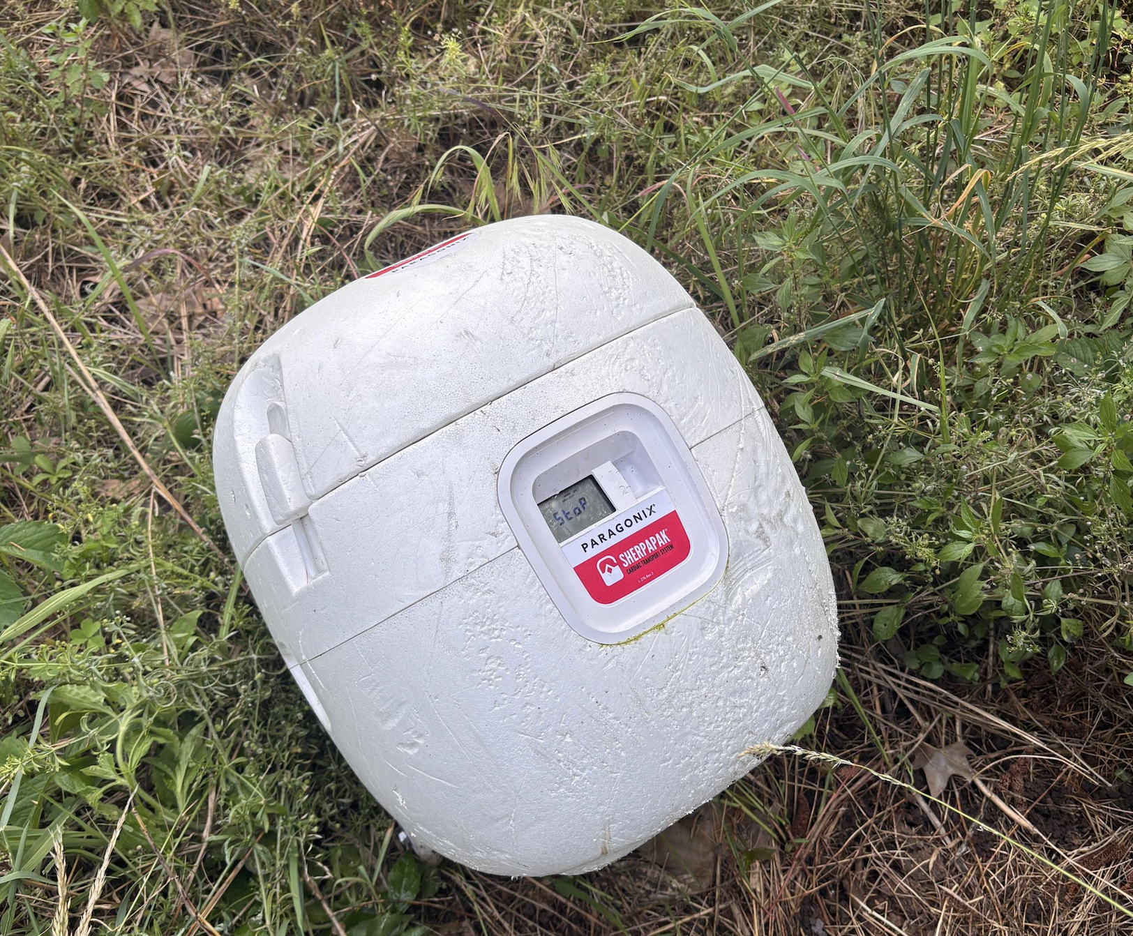 A white, weathered rice cooker with a clear lid and Paragon branding lies on its side in tall grass and weeds outdoors.