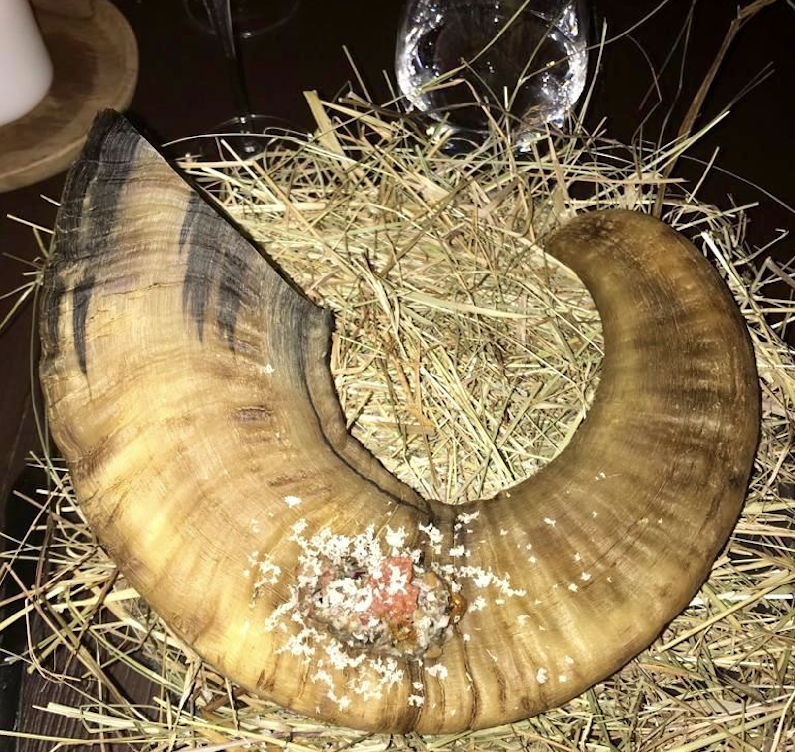 A large, curved animal horn sits on a bed of straw with a patch of white salt and pink seasoning near its base. A glass of water is in the background.