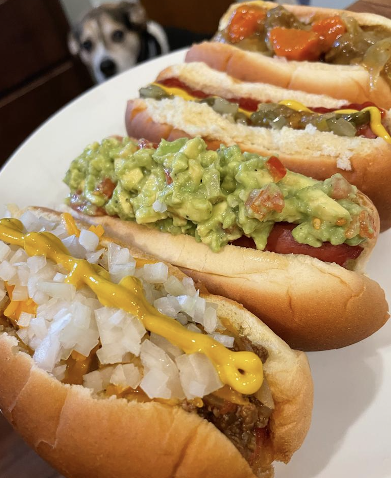 Four hot dogs on a plate, each with different toppings: chopped onions and mustard, guacamole, relish with grated cheese, and mixed vegetables. A dog is in the background, looking at the food.