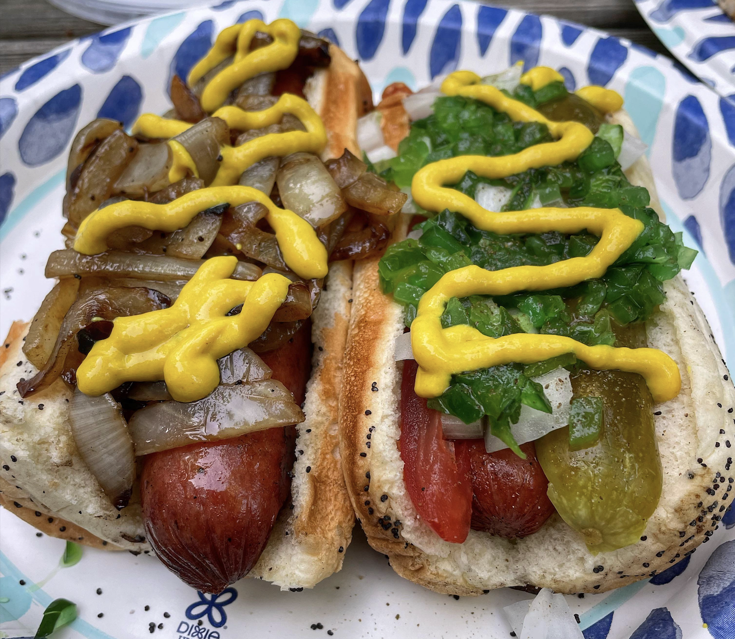 Two hot dogs in poppy seed buns on a paper plate; one topped with grilled onions and mustard, the other with relish, chopped onions, mustard, tomato, and a pickle spear.