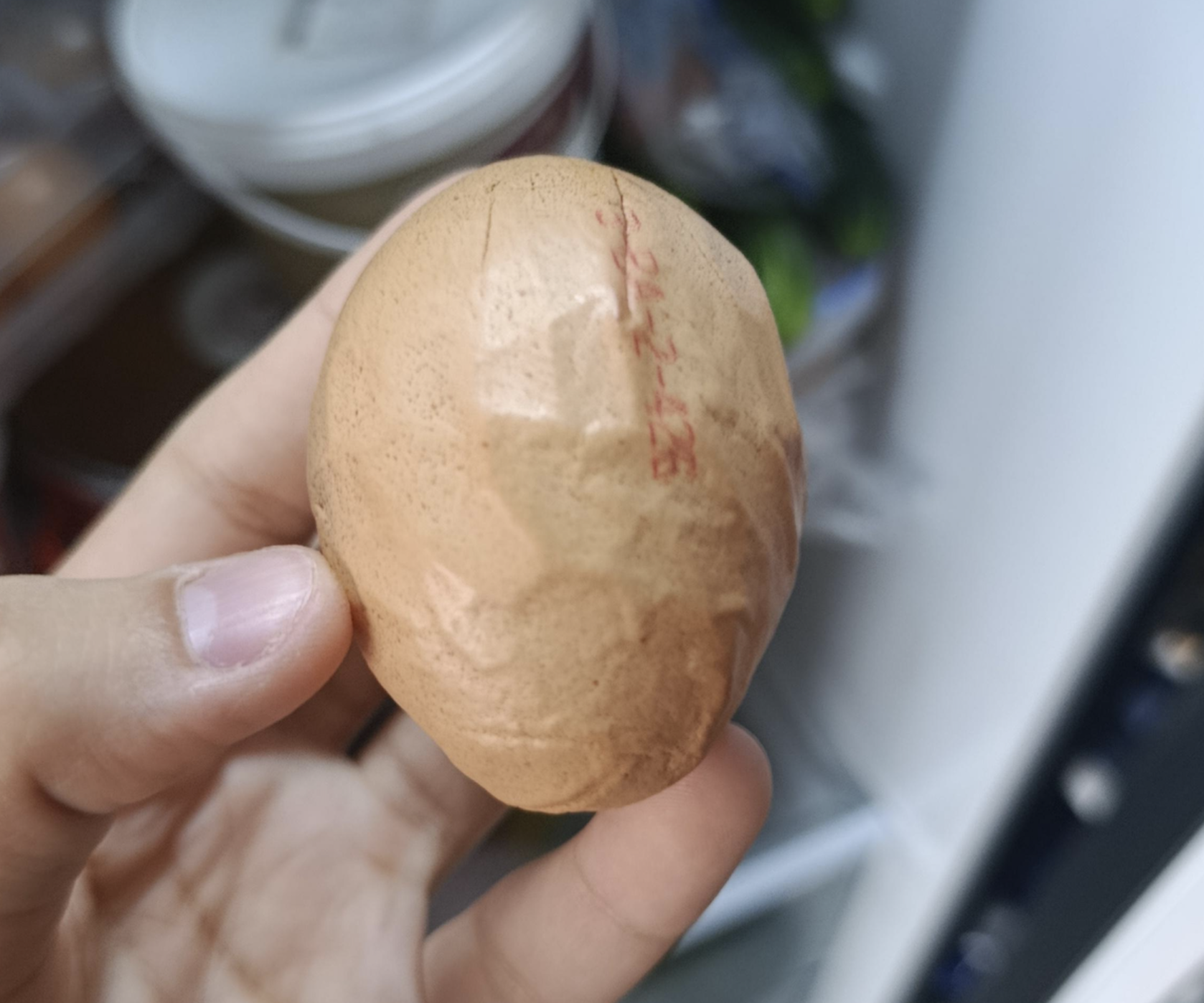 A hand holds a brown egg with a rough, wrinkled surface and red text printed on it. The background shows blurred food items inside a refrigerator.