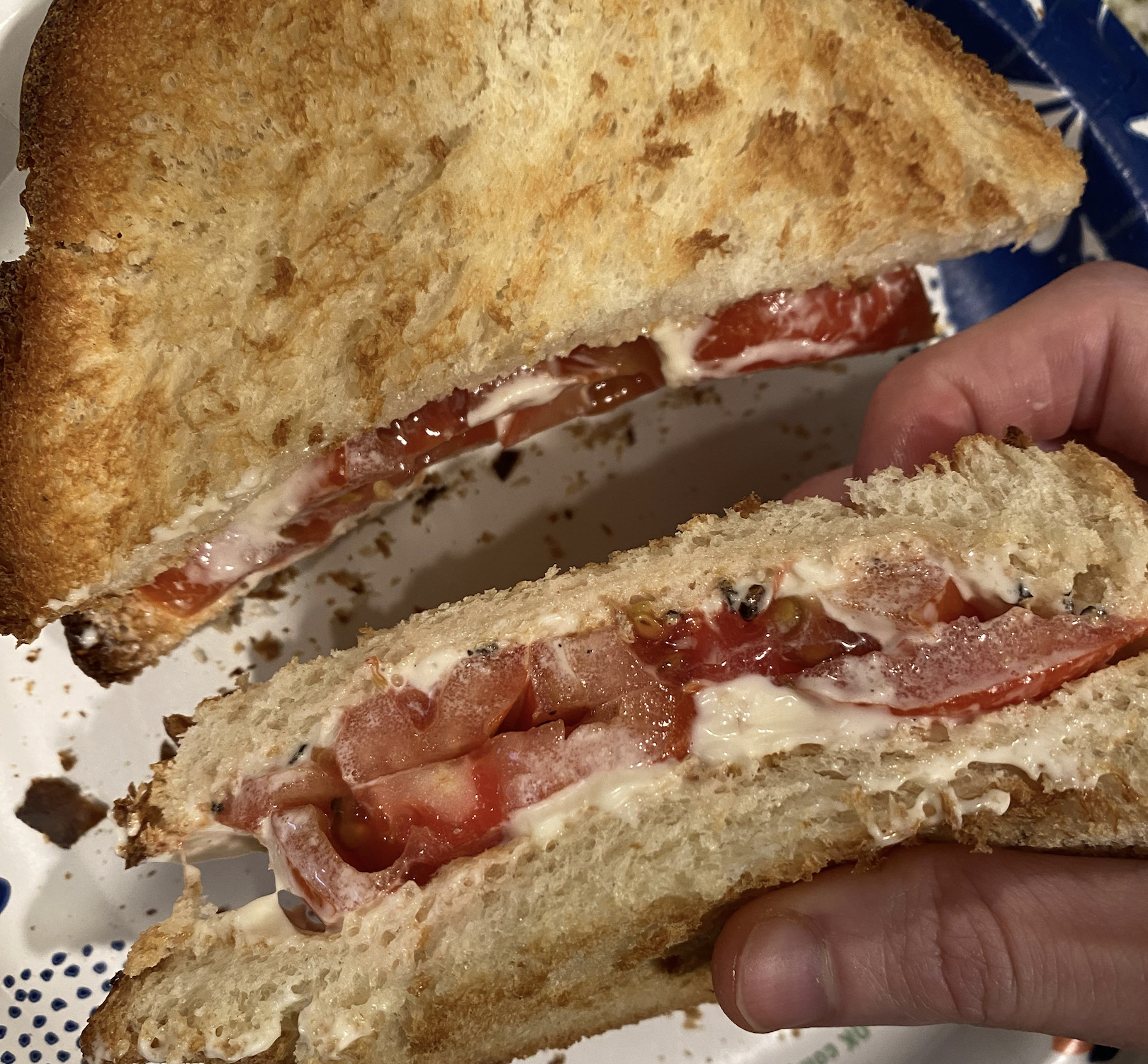 A hand holds half of a toasted sandwich filled with sliced tomatoes and mayonnaise, while the other half rests on a plate nearby.