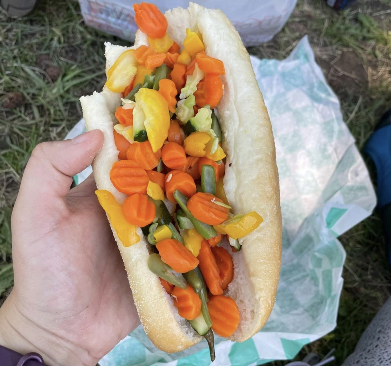 A hand holds a sandwich bun filled with colorful pickled vegetables, including carrots, peppers, and green beans, over a green and white checkered paper on grass.