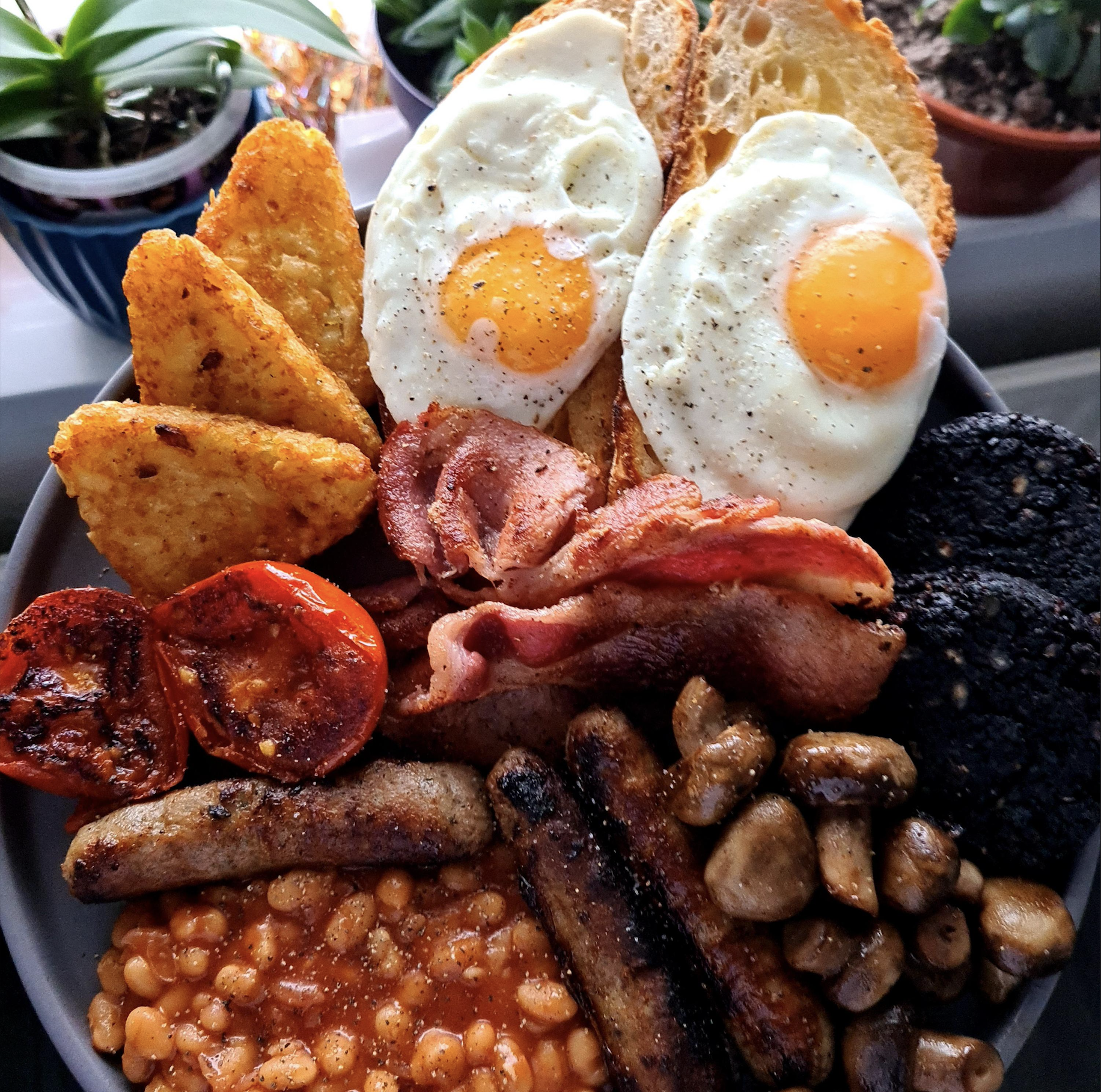 A full English breakfast with fried eggs on toast, hash browns, bacon, black pudding, grilled tomatoes, baked beans, sausages, and sautéed mushrooms. Potted plants are visible in the background.