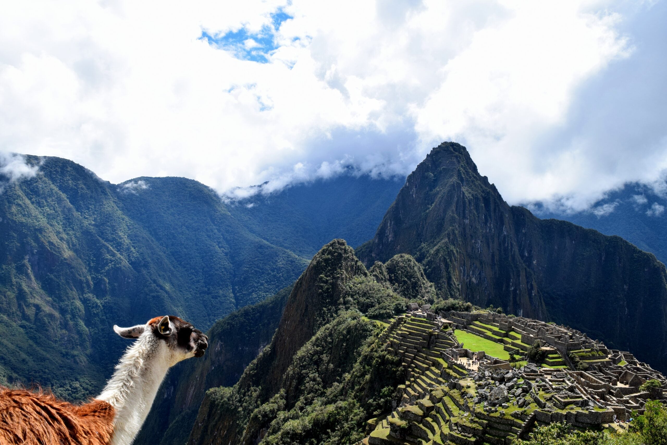 A llama stands in the foreground with the ancient Incan city of Machu Picchu and surrounding green mountains under a partly cloudy sky in the background.