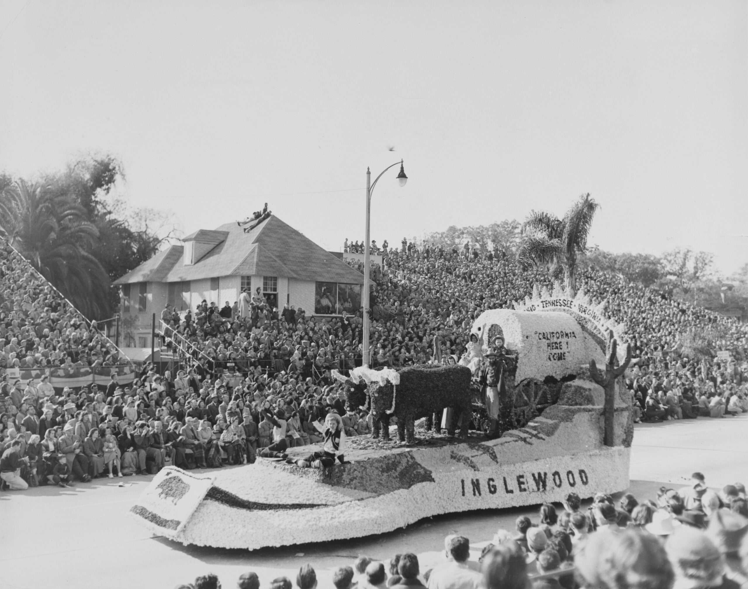 A parade float shaped like a covered wagon with oxen and people in costume travels past large crowds; the float is labeled “INGLEWOOD” and displays “California or Bust” on its wagon.