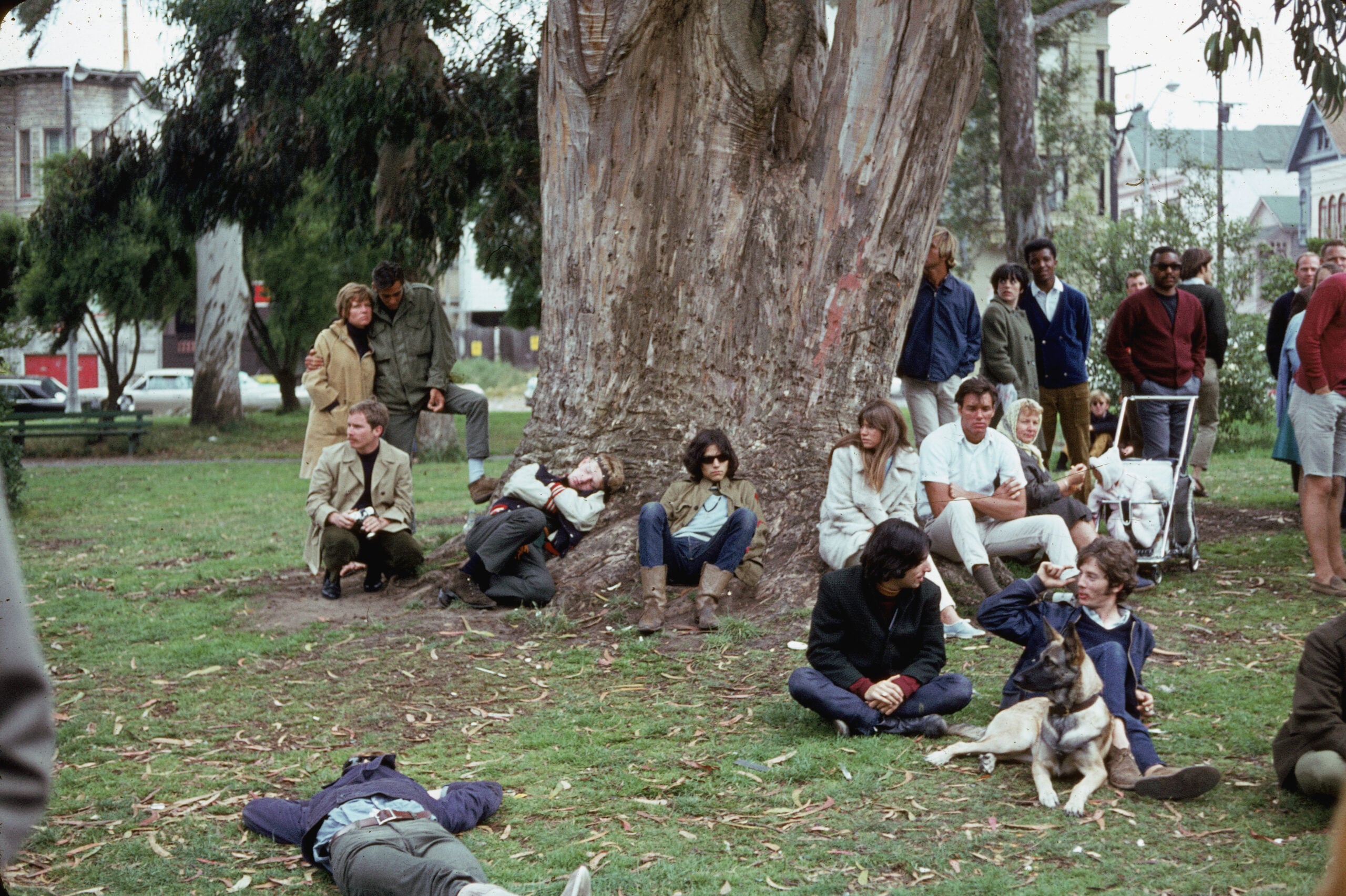 Vintage California photos. A group of people sit, stand, and lie on the grass around a large tree in a park. Some are relaxed, chatting, or with dogs, while others look on. Urban buildings and parked cars are visible in the background.