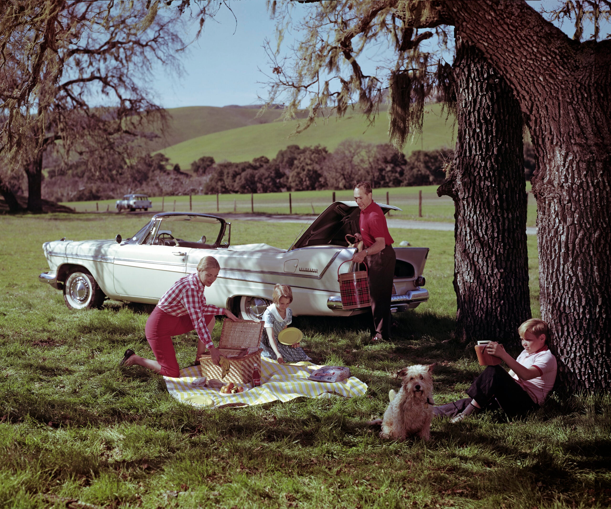Four children and a dog enjoy a picnic under trees near a white convertible with its trunk open, on a sunny day with green hills in the background.