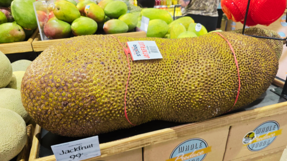 A large, whole jackfruit with bumpy green skin sits on display at a grocery store, surrounded by mangoes and other produce&mdash;a striking example of weird food sure to catch any shopper&rsquo;s eye.