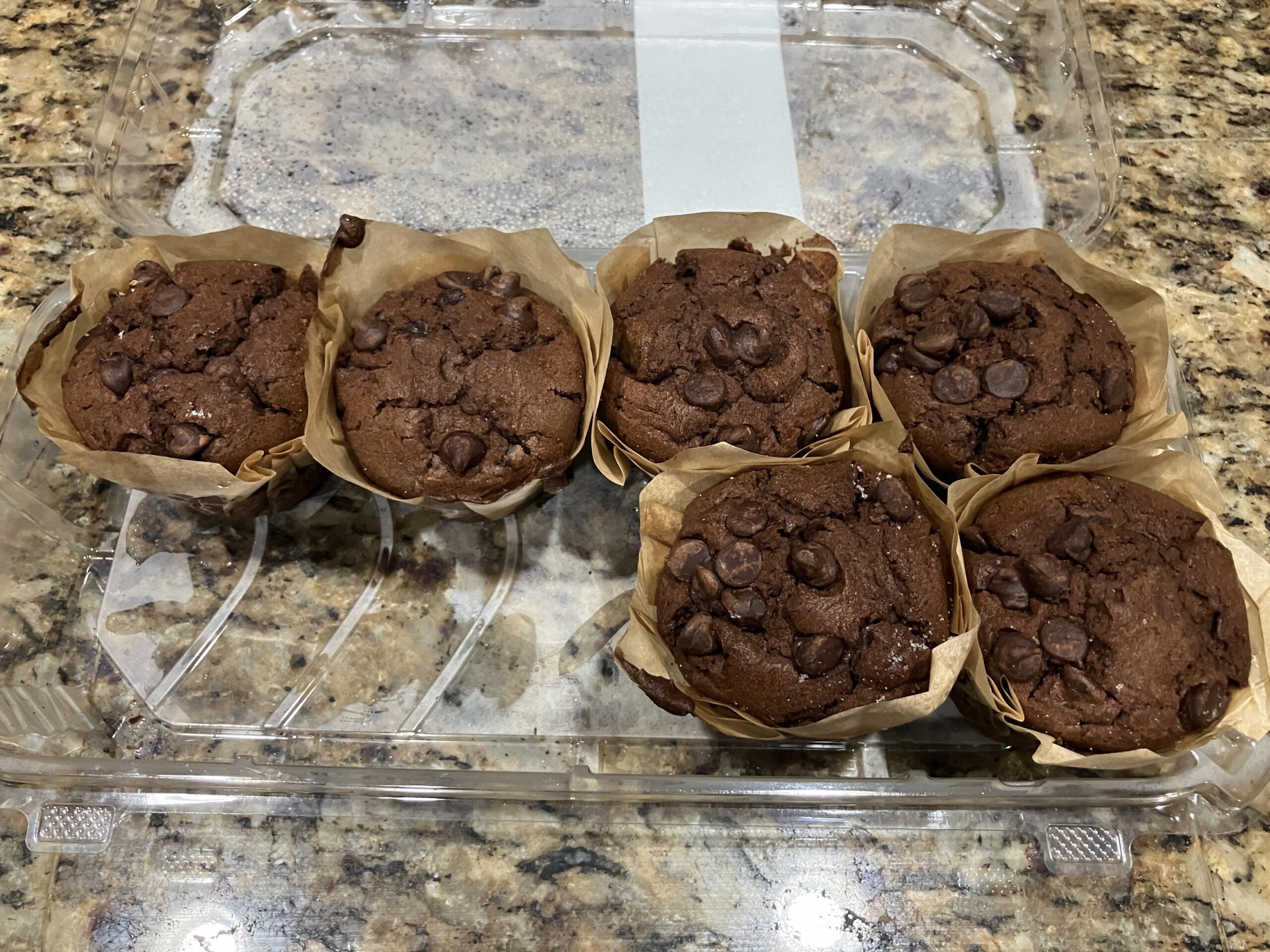 Six chocolate chip muffins in brown paper wrappers are arranged in a plastic container on a granite countertop.