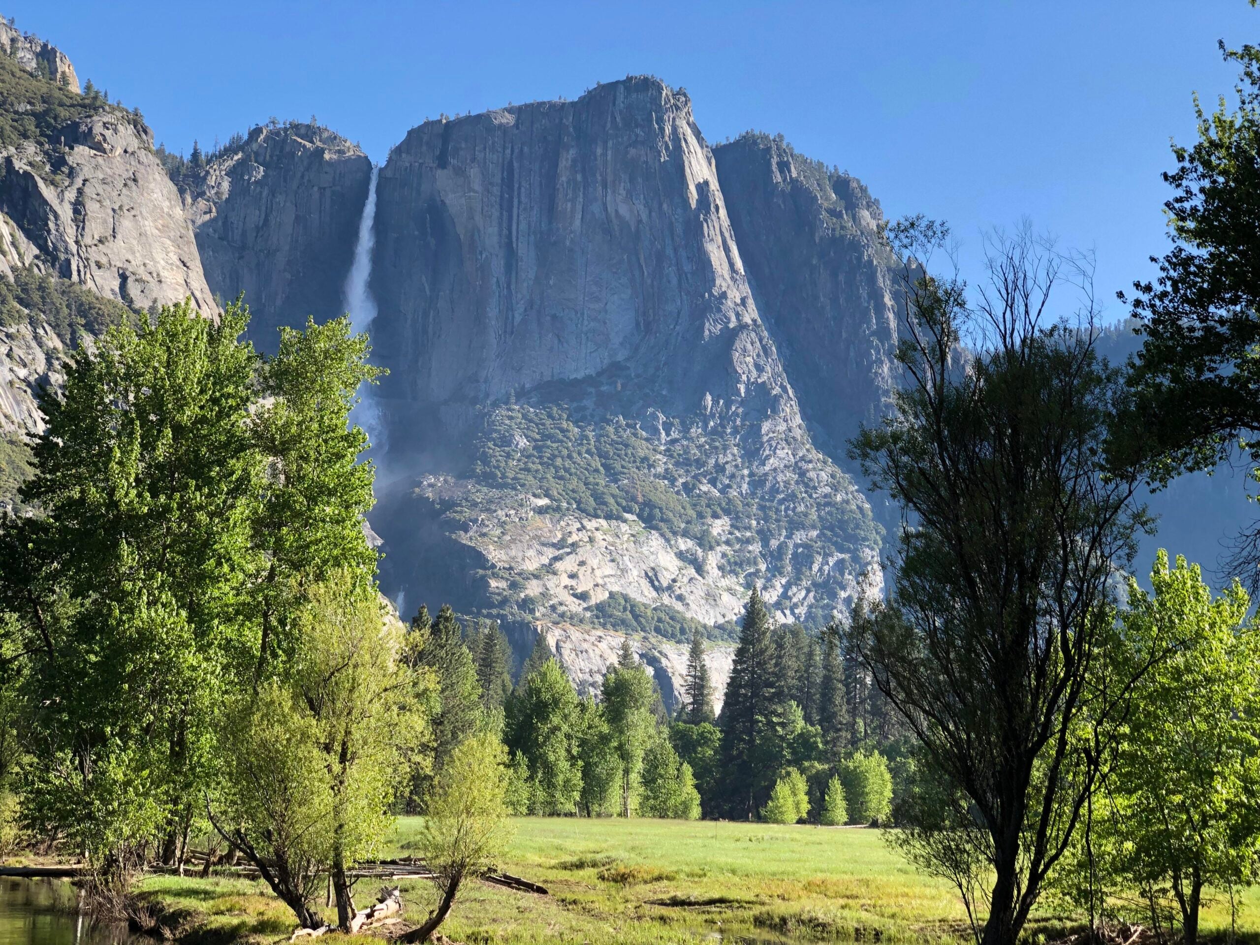 A scenic view of Yosemite Falls cascading down a granite cliff, surrounded by lush green trees and a grassy meadow under a clear blue sky—an unforgettable sight for those seeking the perfect stop on their road trips.