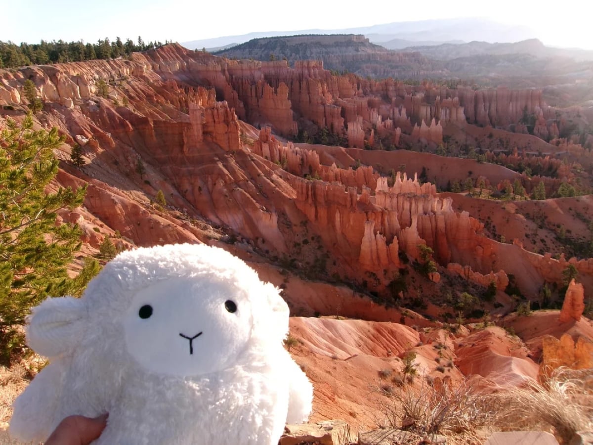 A plush white sheep toy is held up in front of Bryce Canyon’s orange and red rock hoodoos under a clear sky, with trees scattered on the rim.