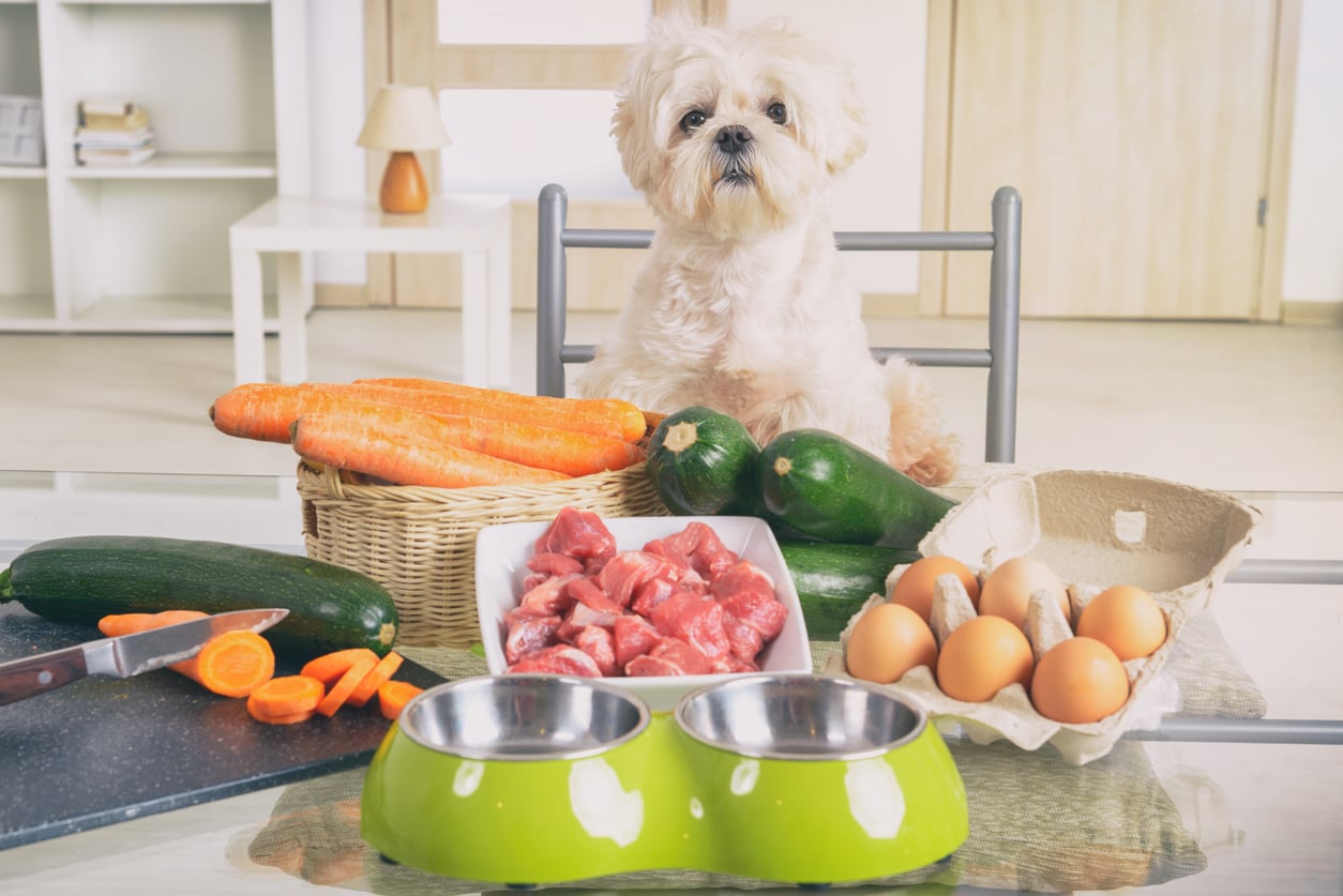 A small white dog sits at a table with carrots, zucchini, eggs, raw meat, and two green pet bowls in front of it, suggesting that those who love to splurge on their pets are preparing a healthy meal.