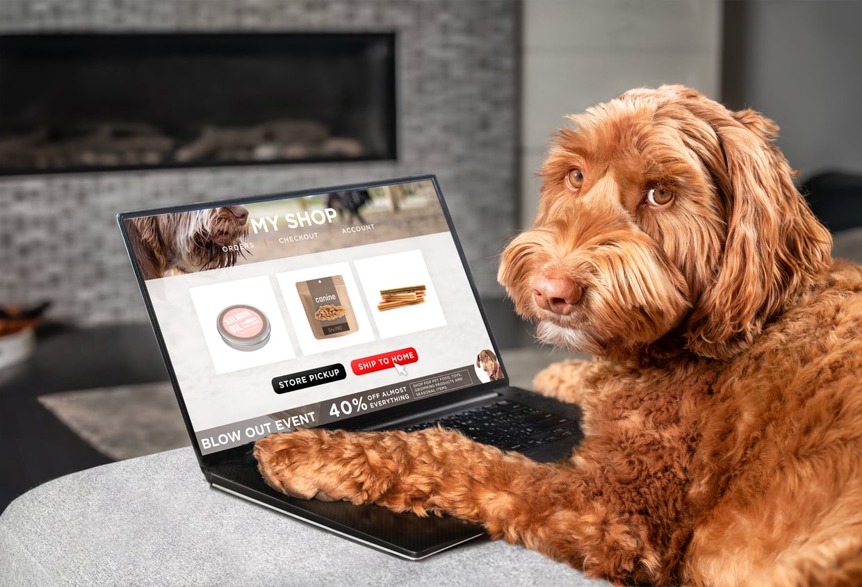 A brown dog sits at a laptop on a couch, browsing an online shop selling pet treats. The screen shows product images, a discount banner, and navigation options—perfect for those who love to Splurge On Their Pets. The dog looks toward the camera.