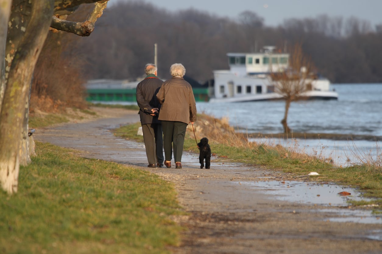 Two elderly people, reflecting their travel habits, walk a small black dog along a lakeside path. A boat is visible on the water in the background, and trees line the path on a cloudy day.