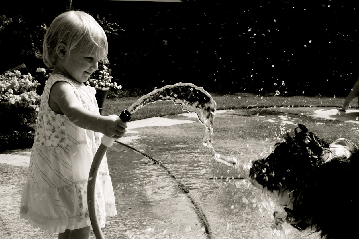 A young child in a dress smiles while spraying water from a garden hose at a dog. The scene is outdoors on a sunny day, with water splashing playfully.