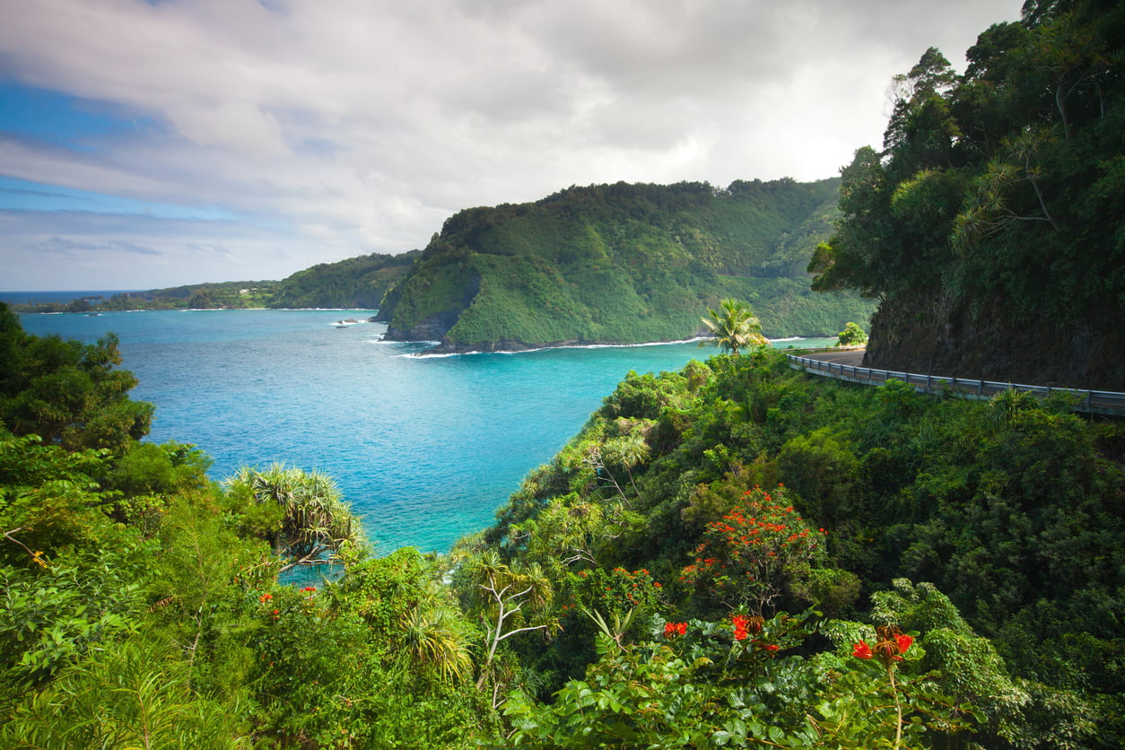 A winding coastal road runs along lush green cliffs overlooking vibrant blue ocean water, with dense tropical foliage and red flowers in the foreground under a partly cloudy sky—a captivating scene among the travel destinations boomers are skipping.
