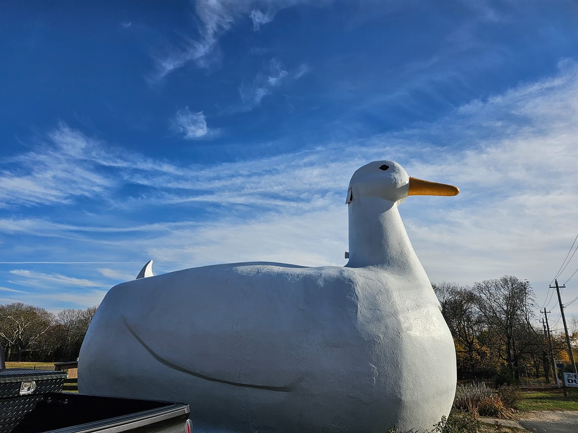 A large white duck-shaped building, reminiscent of Classic Roadside Attractions, stands outdoors under a blue sky with wispy clouds, surrounded by trees and a parked vehicle partially visible in the foreground.