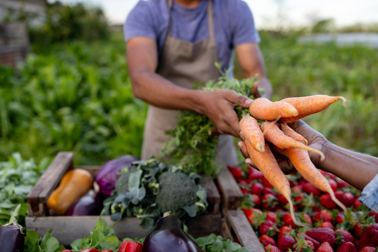 A person wearing an apron hands a bunch of fresh carrots to another person at an outdoor produce stand, where various vegetables and strawberries invite visitors to explore new travel behaviors centered on local food experiences.