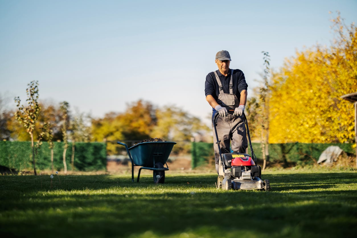 A person in overalls and a cap mows grass with a lawnmower in a sunny yard, with a wheelbarrow nearby and autumn trees in the background.
