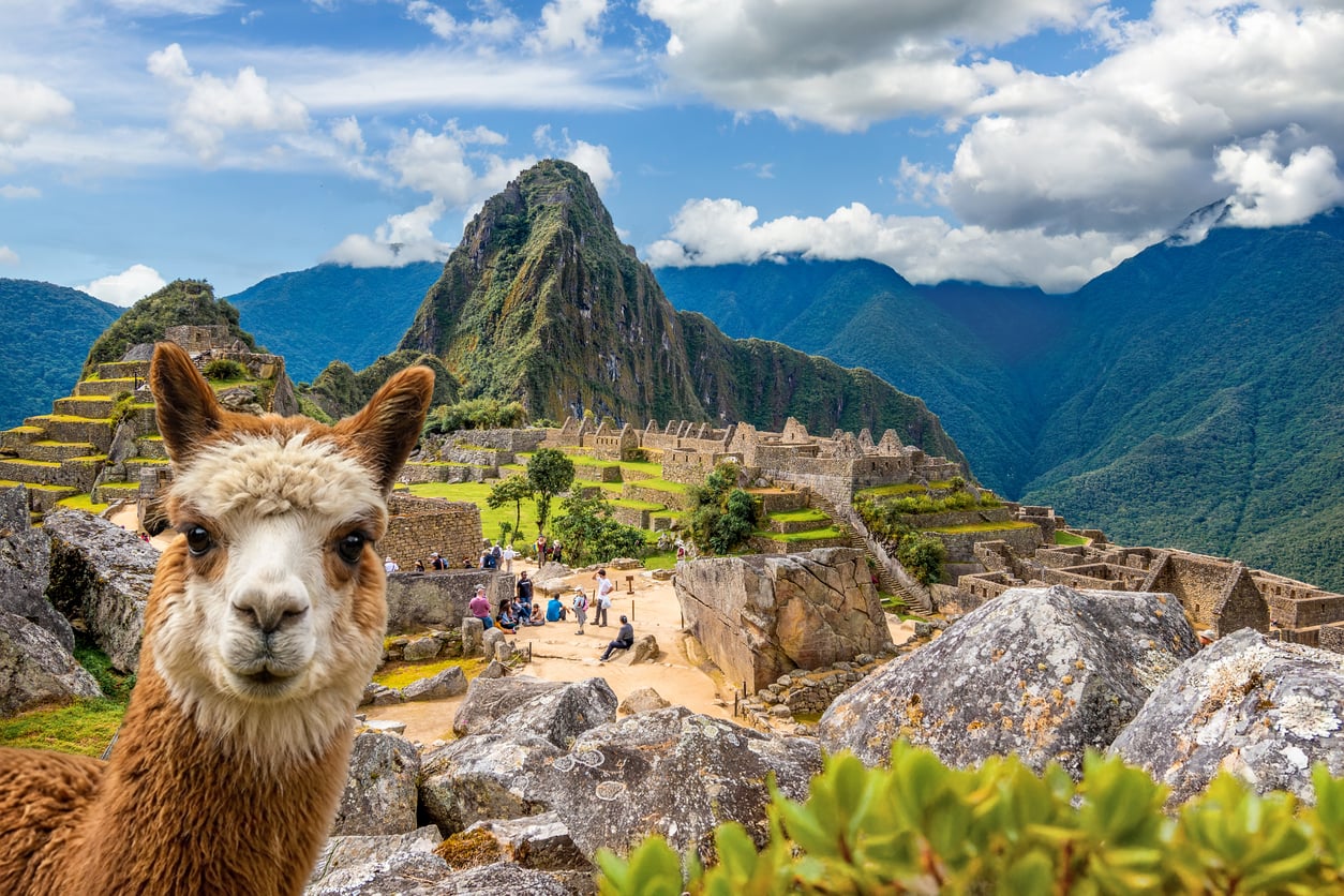 A llama stands in the foreground with the ancient Incan ruins of Machu Picchu and green mountains under a partly cloudy sky in the background.