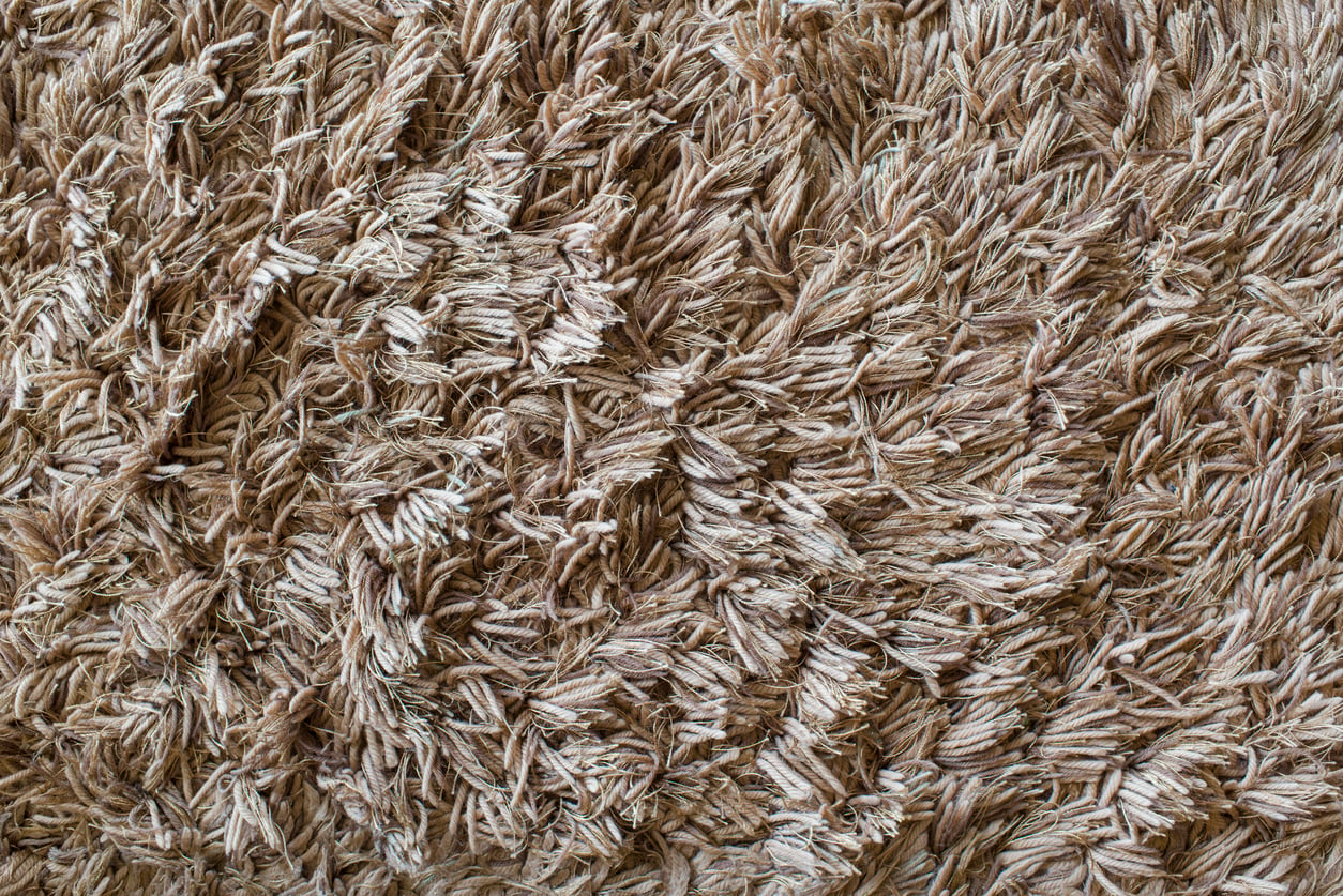 Close-up of a beige shaggy carpet, showing thick, intertwined fibers with varying shades of brown and cream, creating a textured and soft appearance.