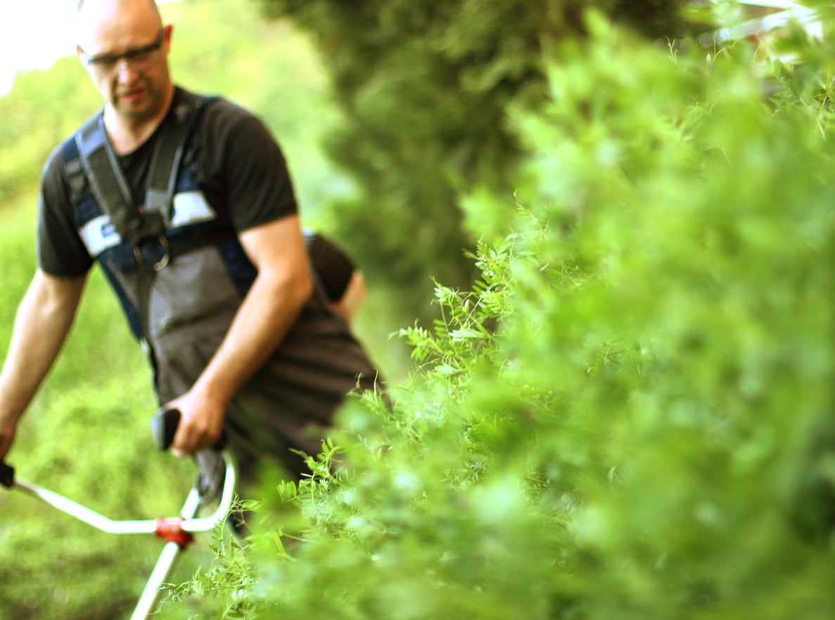 A person wearing glasses and work overalls uses a grass trimmer in a green, leafy outdoor area. The foreground is filled with out-of-focus plants.