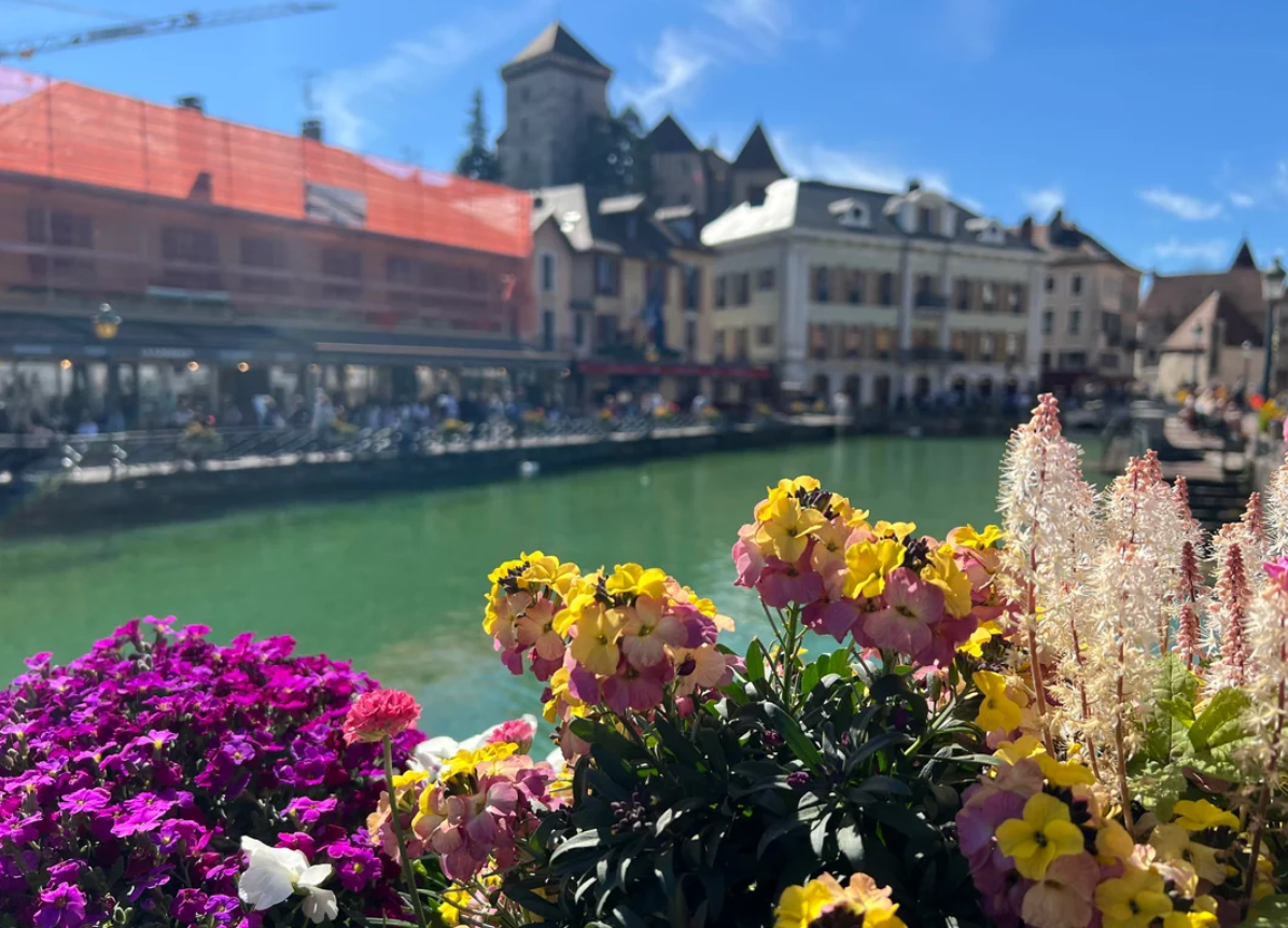 Colorful flowers in the foreground with a river and historic European buildings in the background, under a bright blue sky.