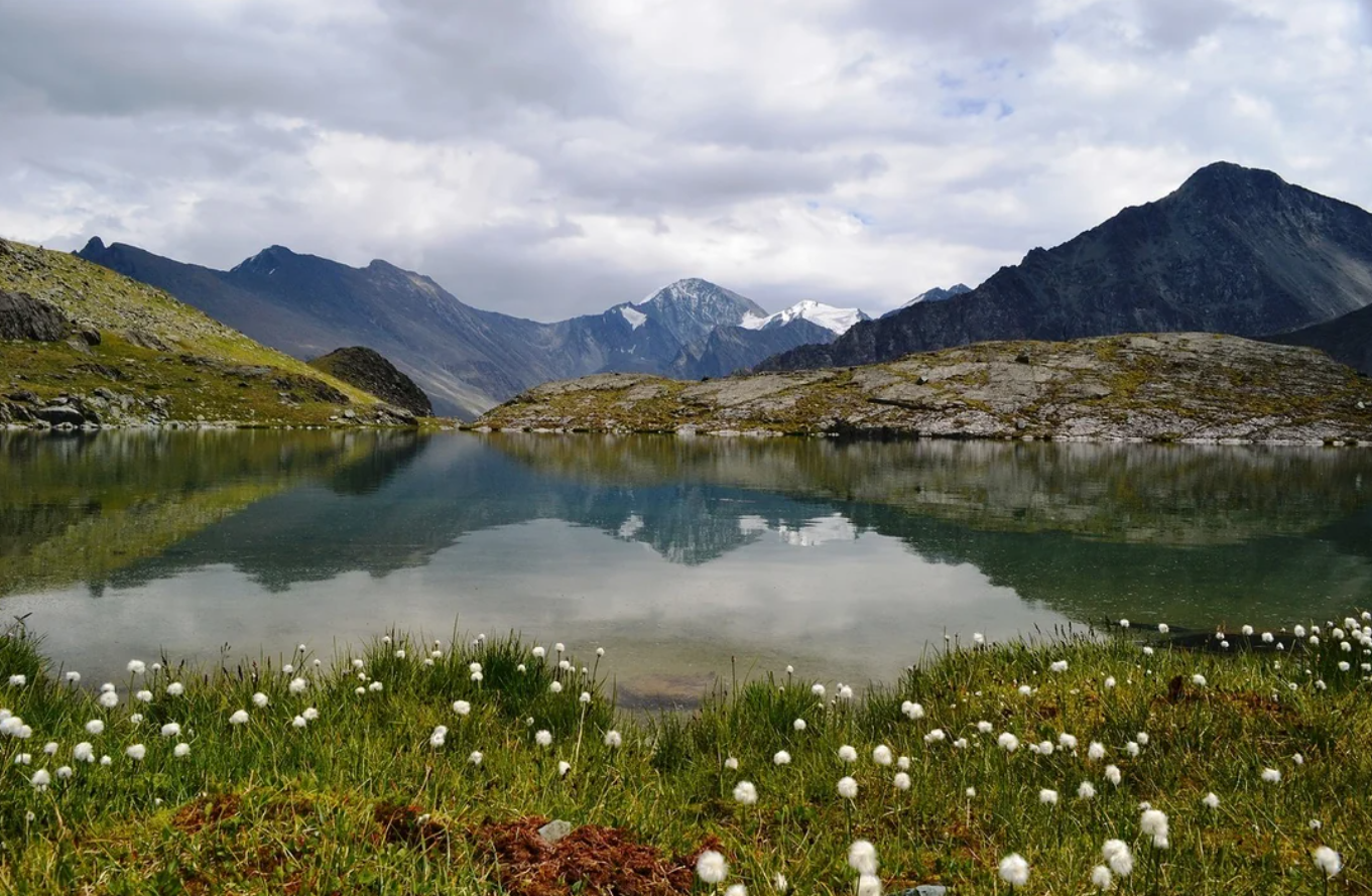 Mountain lake with calm water reflecting snowy peaks and a cloudy sky, bordered by green grass and white wildflowers in the foreground—an inspiring scene for Travelers’ Journeys. Rocky hills surround the lake, inviting exploration and new adventures.