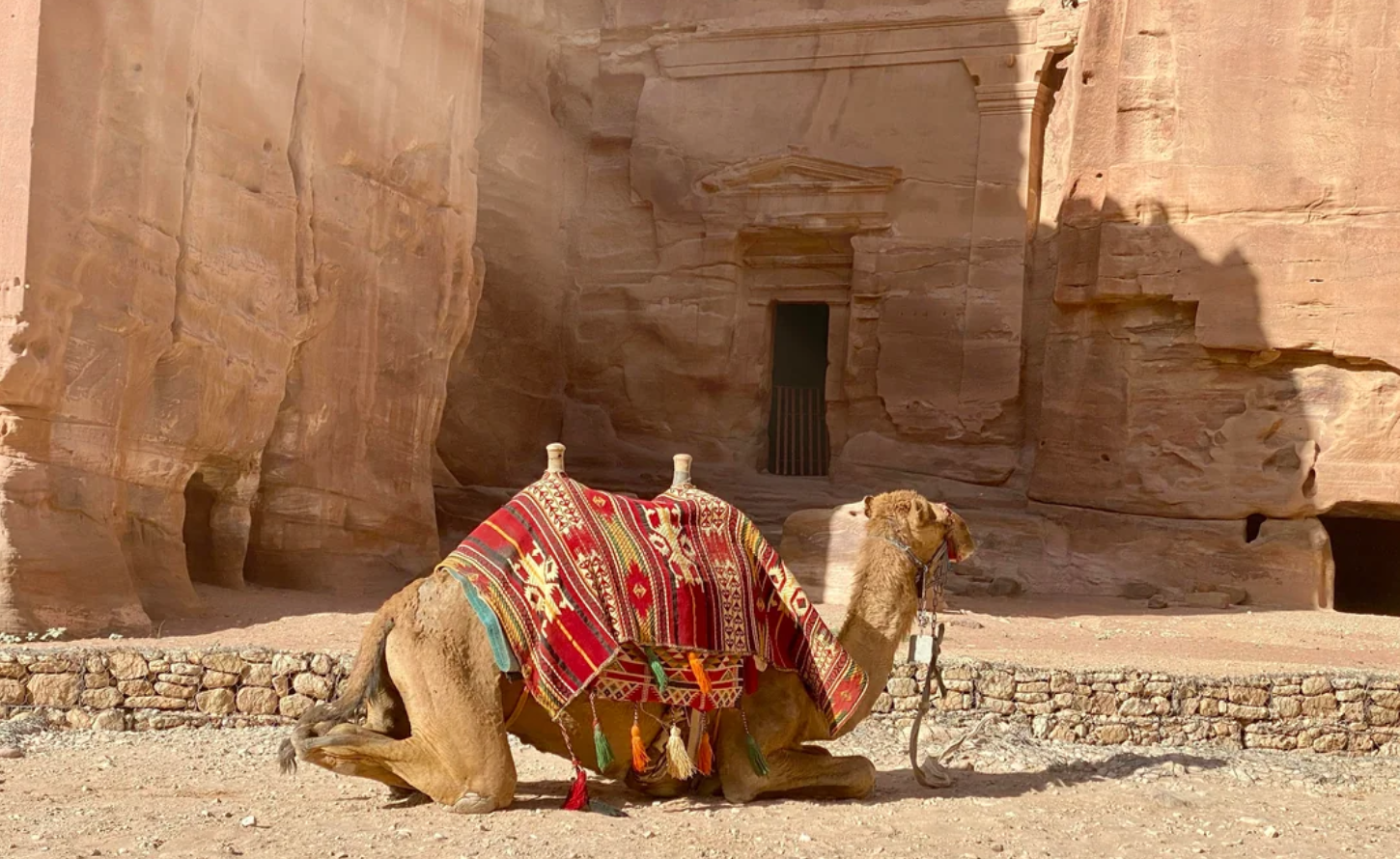 A camel draped in a colorful patterned blanket sits on sandy ground in front of ancient carved stone ruins with a doorway in the background.