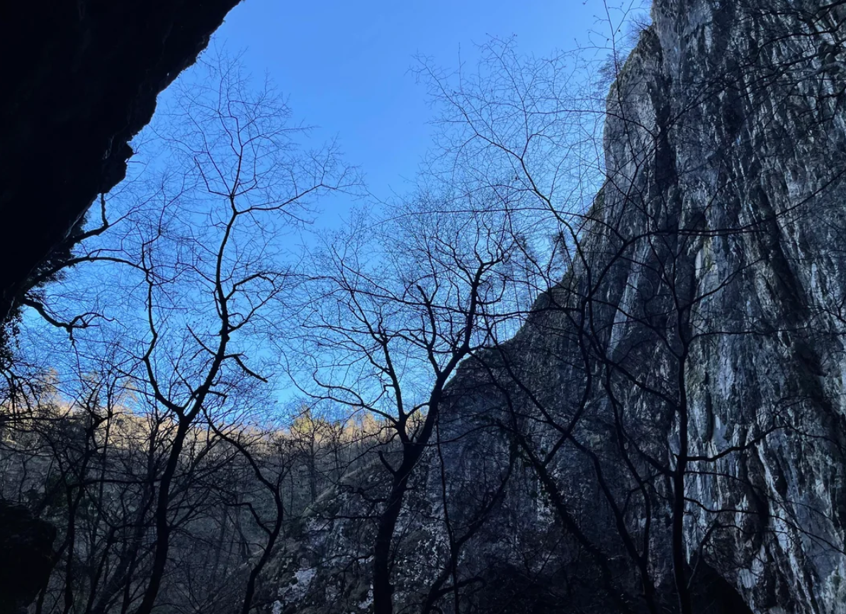 Leafless trees with thin branches are silhouetted against a clear blue sky, framed by steep rocky cliffs on either side.